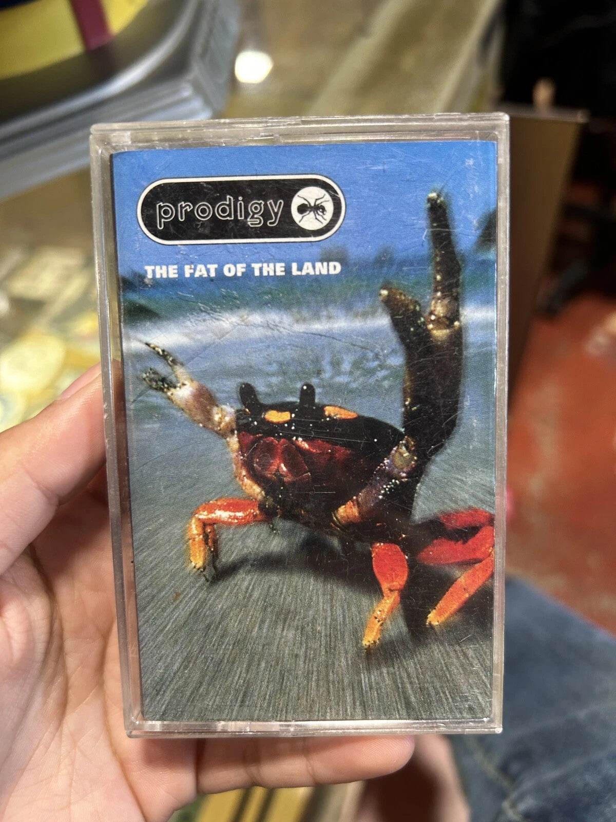 Fat of the Land Cassette