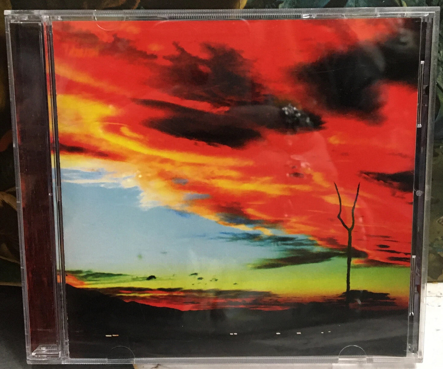 Grotto Fork Ungulate CD