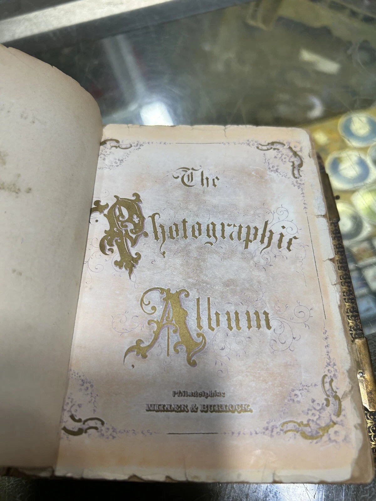 100+ Year Old Photo Album