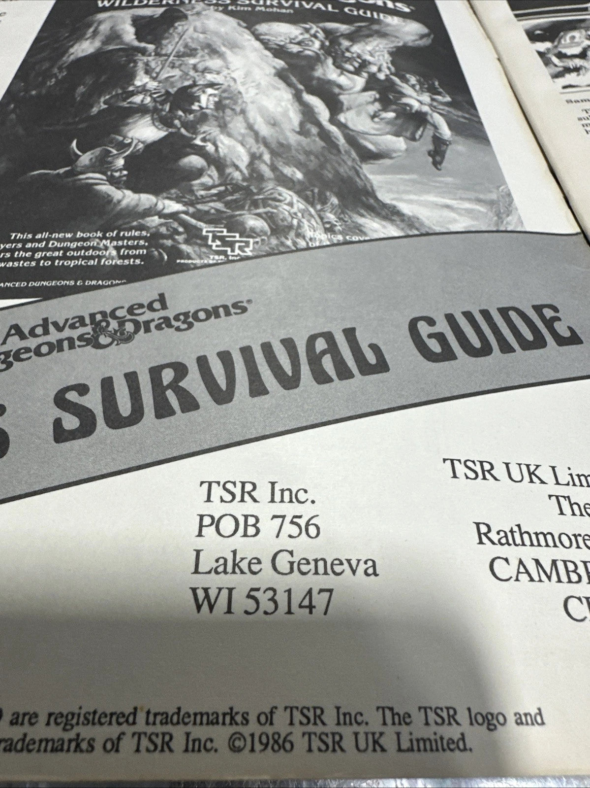 Dungeon Magazine #3 - TSR Dungeons and Dragons Adventure Magazine