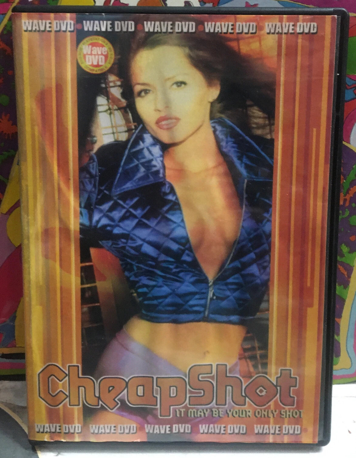CheapShot It May Be Your Only Shot DVD