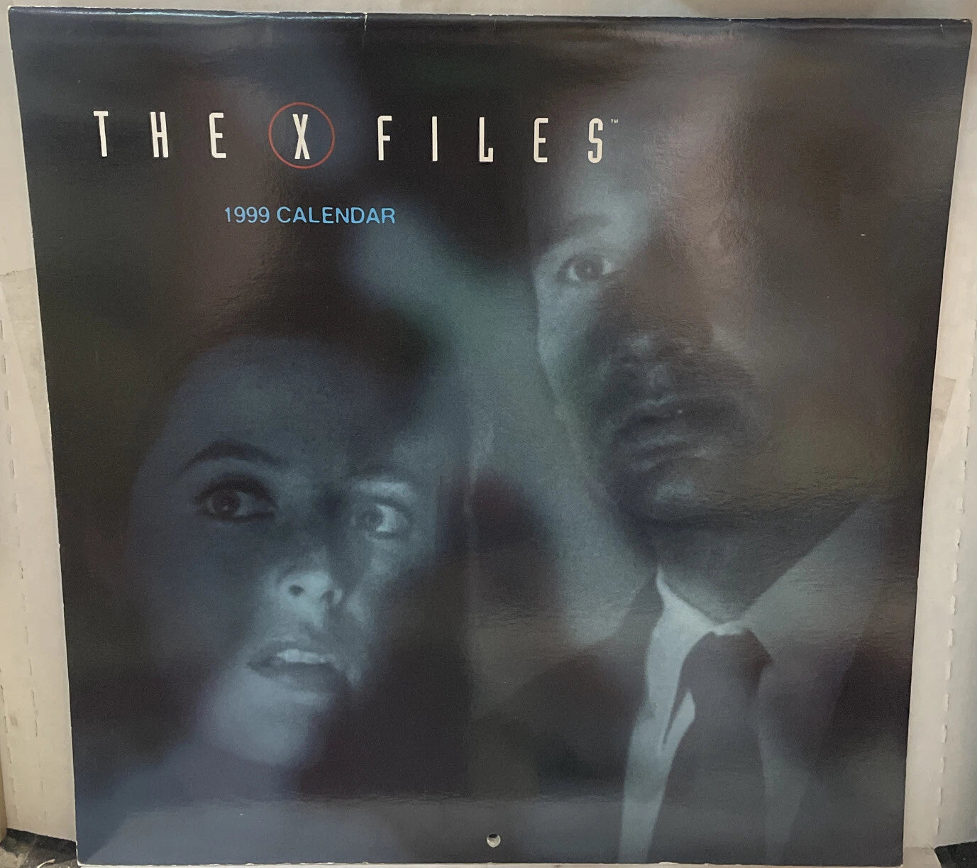 The X Files 1999 Calendar