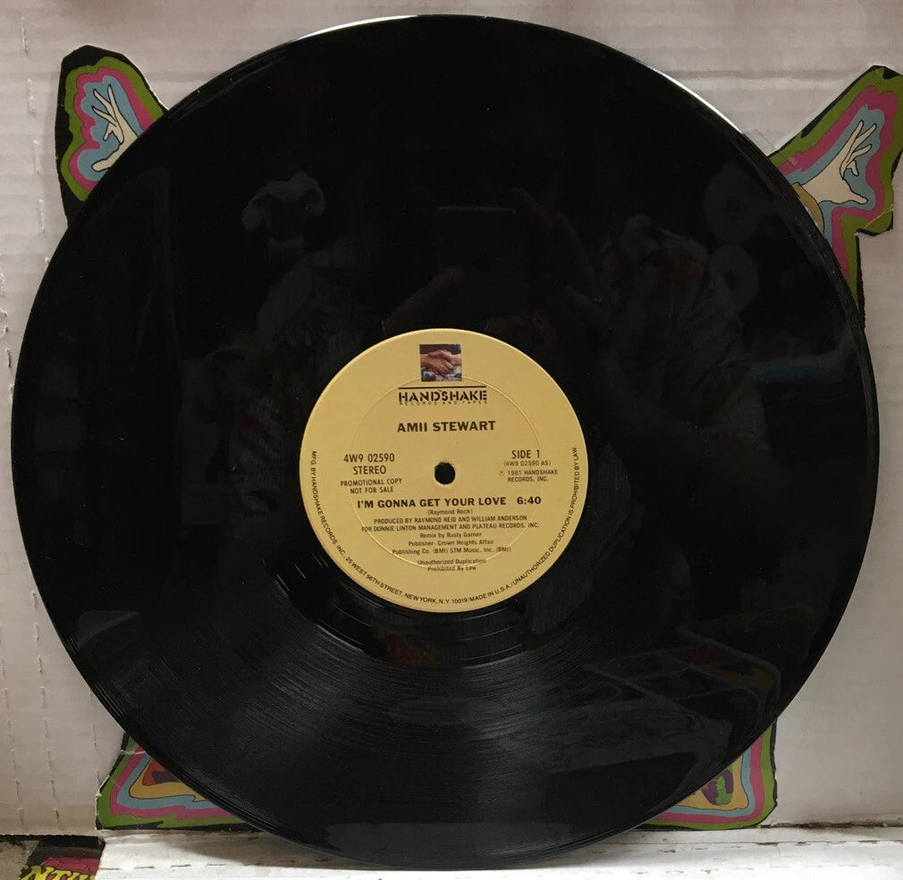 Amii Stewart I’m Gonna Get Your Love Promo 12” Single 4W902590