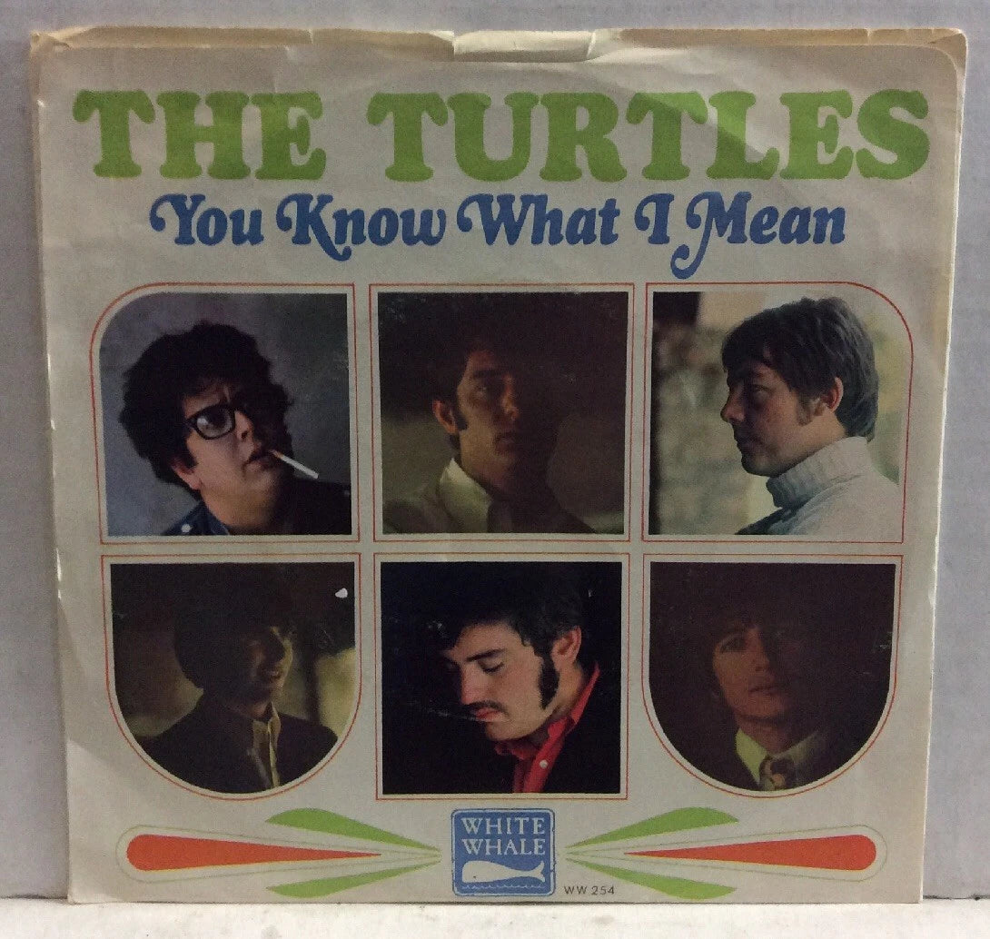 The Turtles You Know What I Mean/Rugs Of Woods & Flowers 7” Single