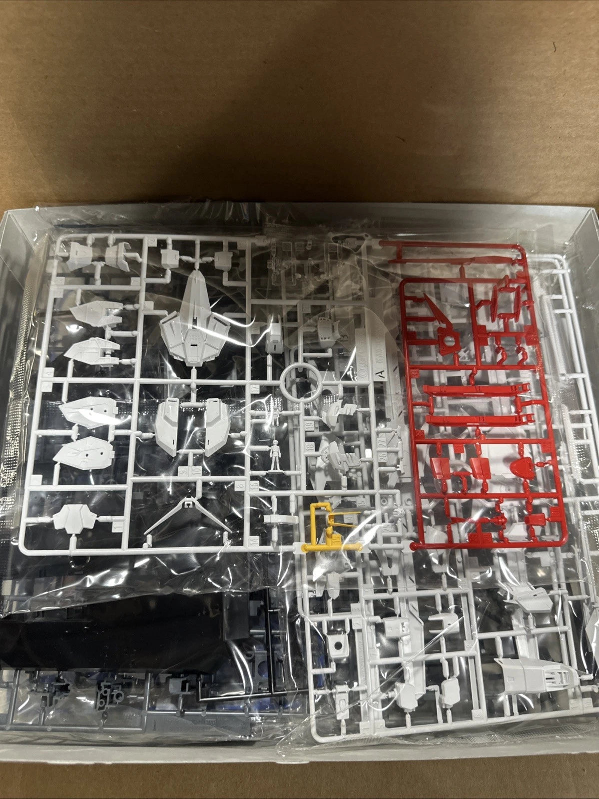 Bandai Hobby Gundam SEED Freedom Gundam Version Ver. 2.0 MG 1/100 Model Open Box