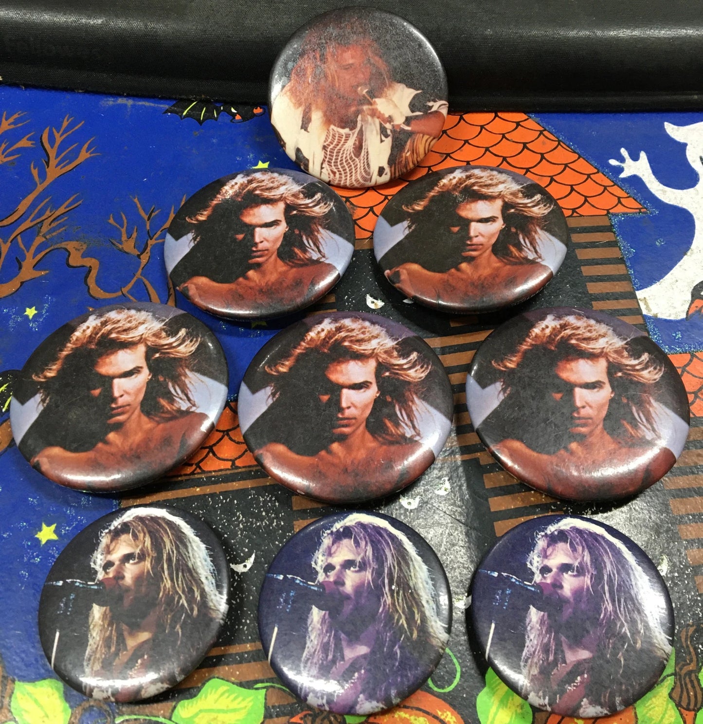 David Lee Roth Vintage Button Collection