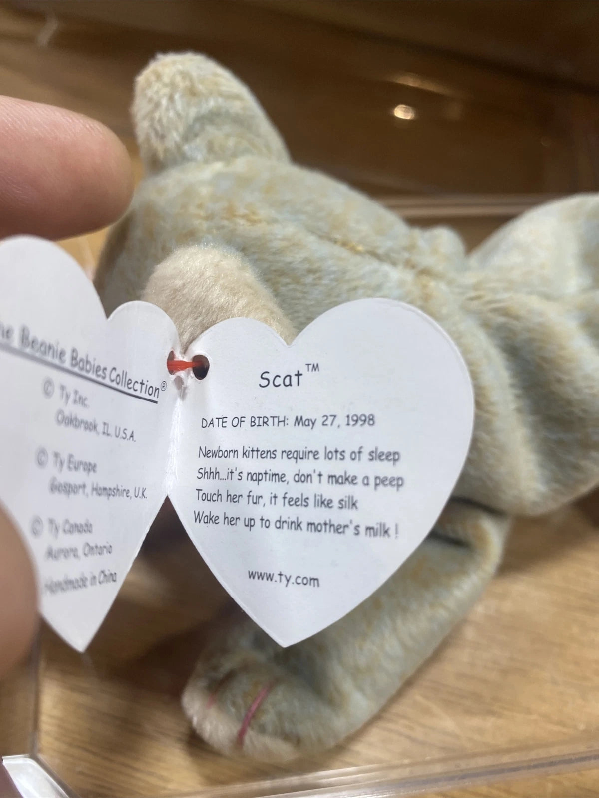 RARE VINTAGE TY Beanie Baby "Scat The Cat" 1999 Retired ☆☆ERRORS☆☆