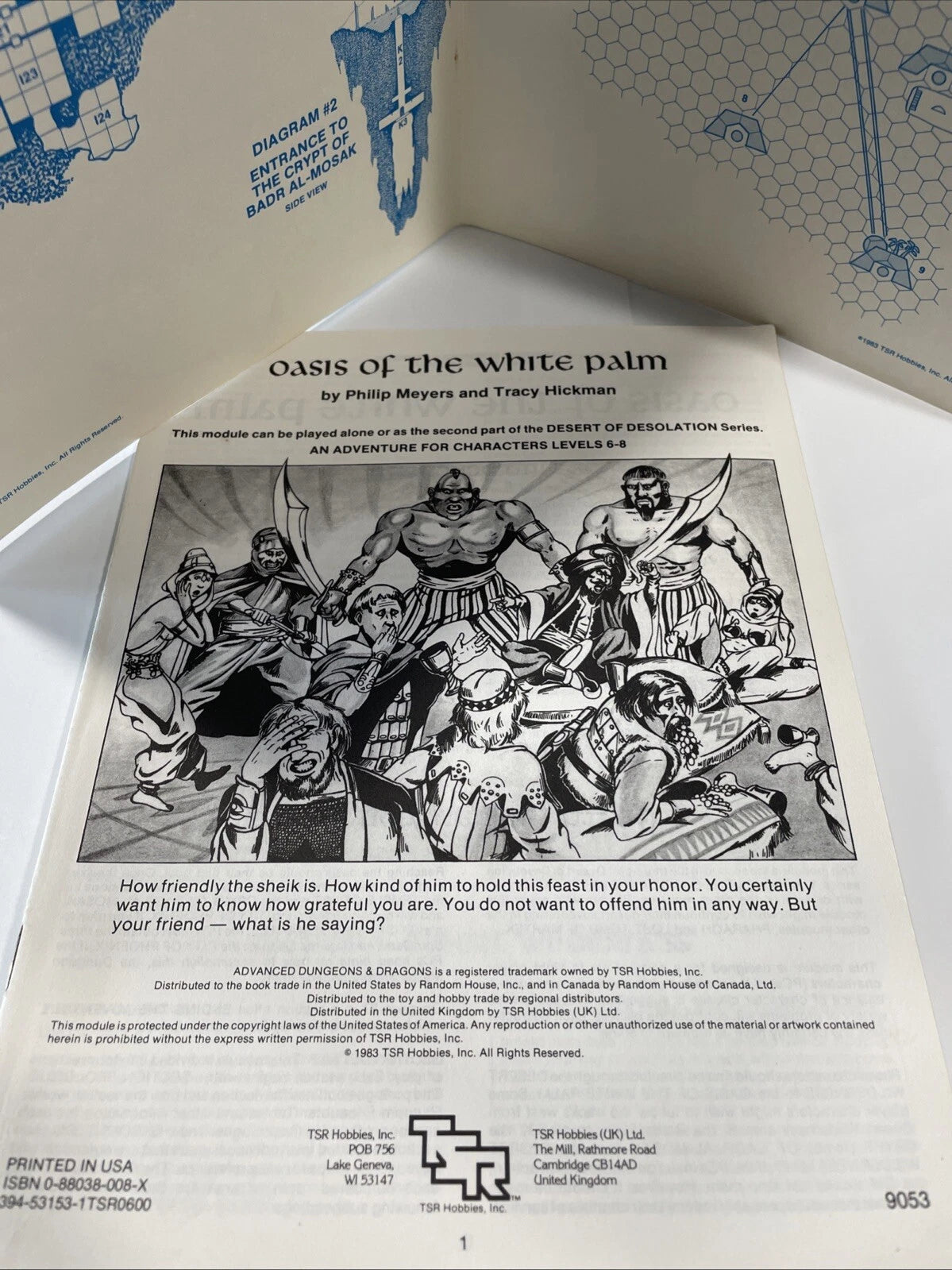 Advanced Dungeons & Dragons: Module I4 Oasis of White Palm 9053- TSR 1983 - RARE