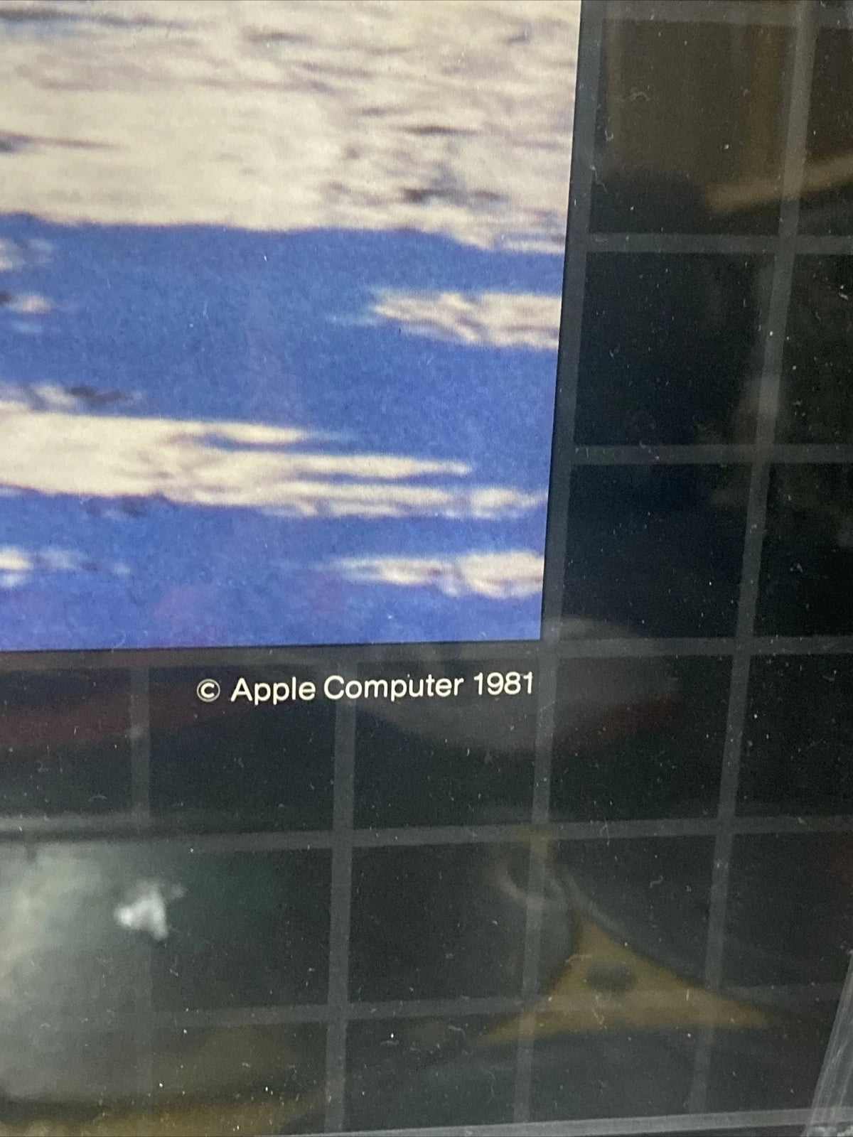 Vintage Original Apple Computer 1981 Donna Lake Rare Poster in Protective Frame