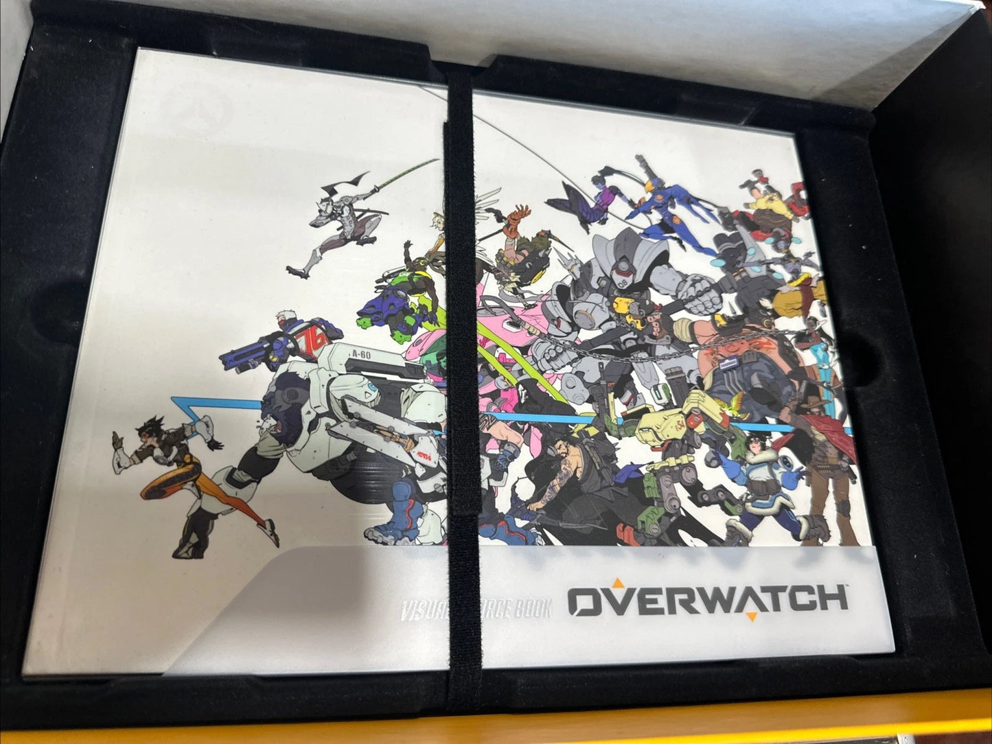 Blizzard Overwatch Collector's Edition PC READ