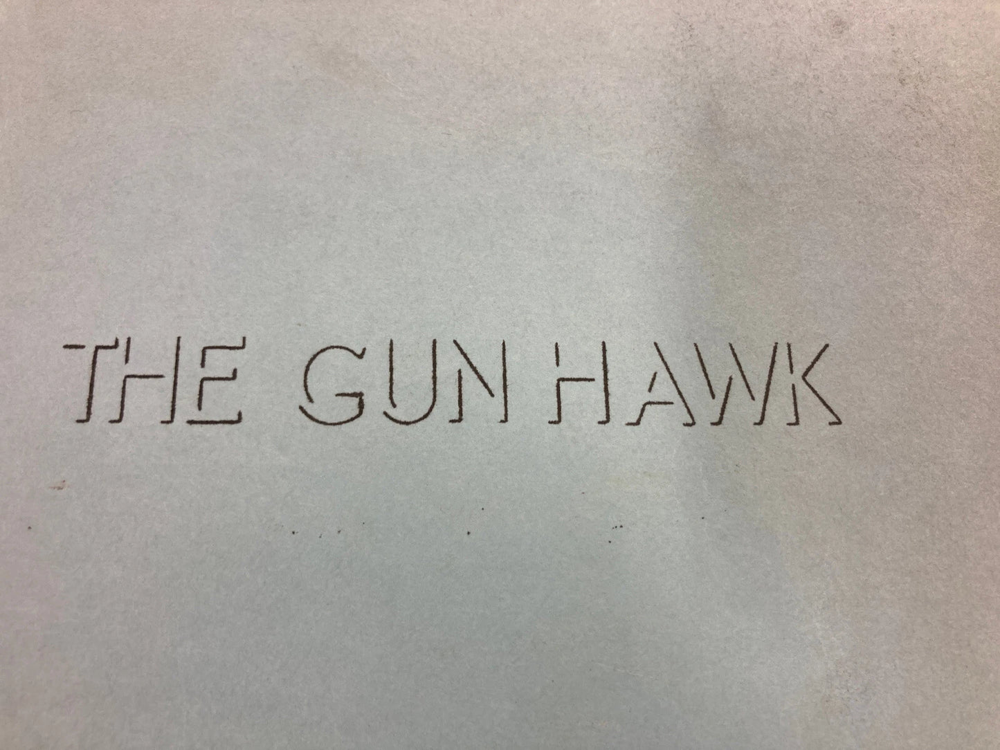 THE GUN HAWK / Jo Heims 1962 Screenplay, RORY CALHOUN & ROD CAMERON Western
