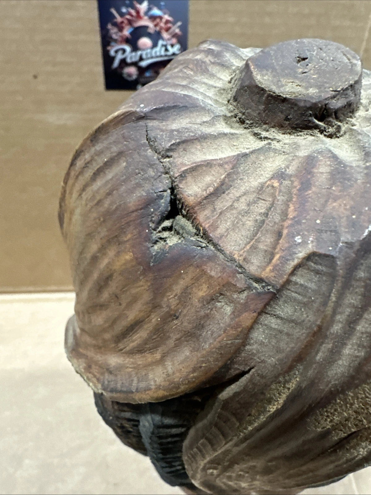 One Of A Kind Wood Carving Bust Of Woman In Corn Shape