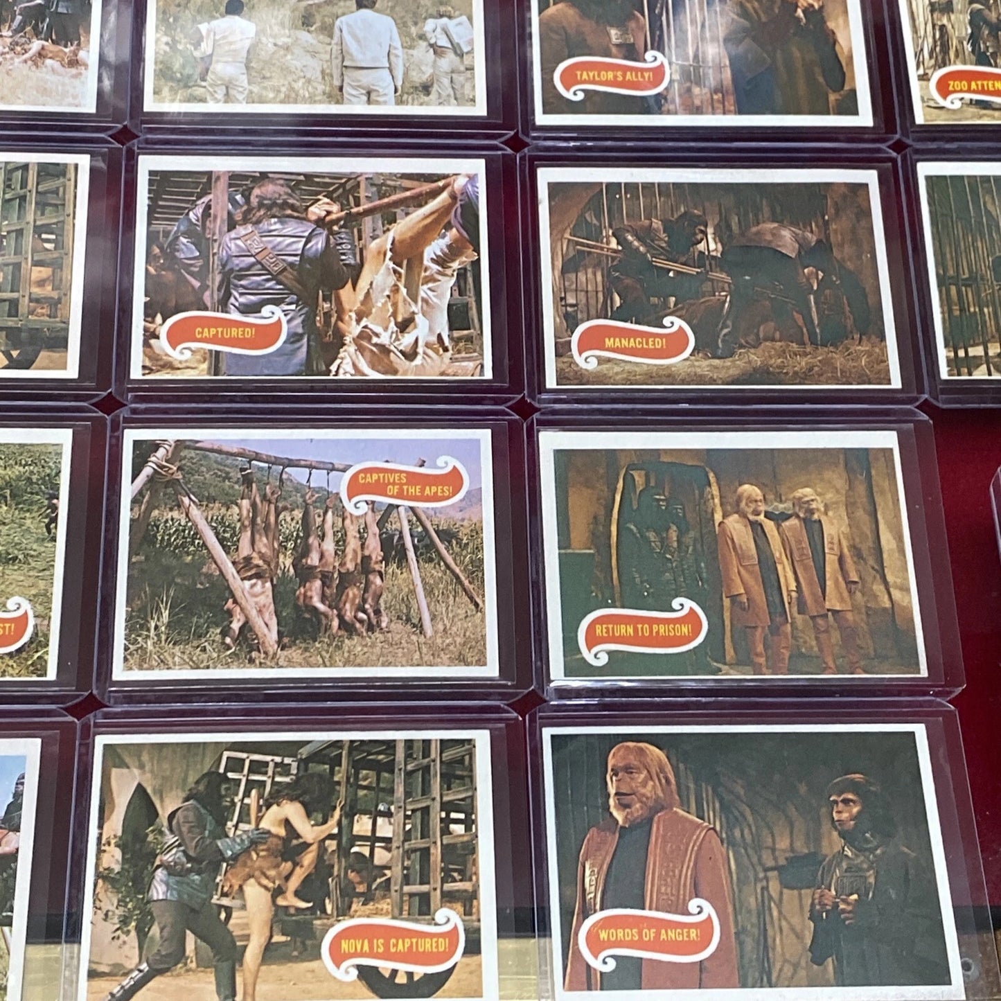 43 VTG. 1967 Planet Of The Apes Trading Cards (Sleeved & Top-Loaded) GREEN BACK!