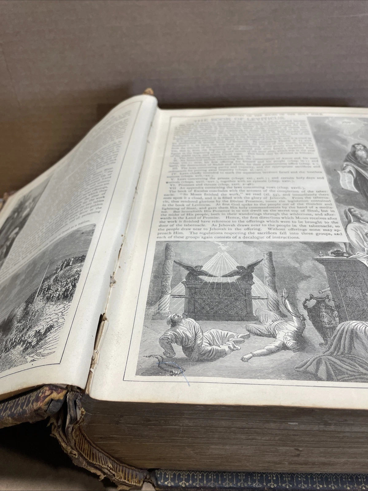 1888 Illustrated Family Bible Pronouncing Parallel Column Edition Stevenson Rare