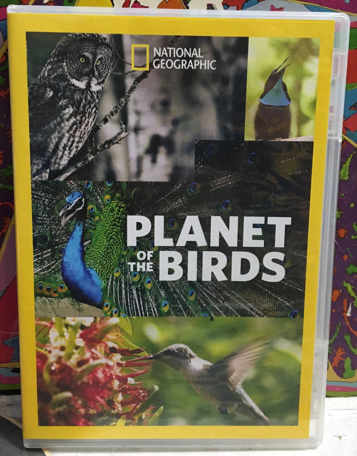 Planet Of Birds DVD