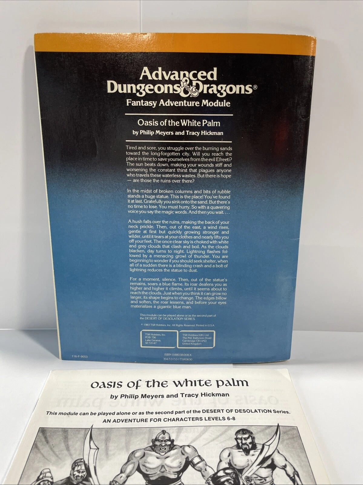 Advanced Dungeons & Dragons: Module I4 Oasis of White Palm 9053- TSR 1983 - RARE