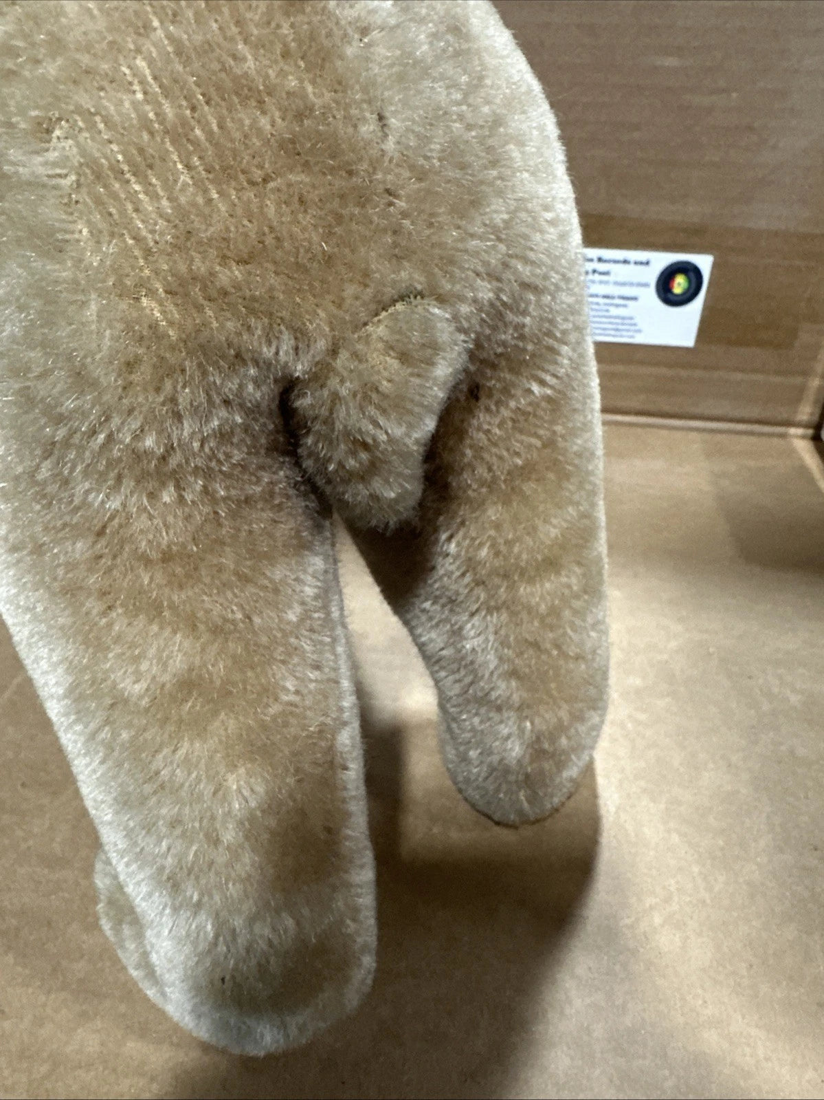 Steiff 1930s? Polar Bear Vintage No Tags