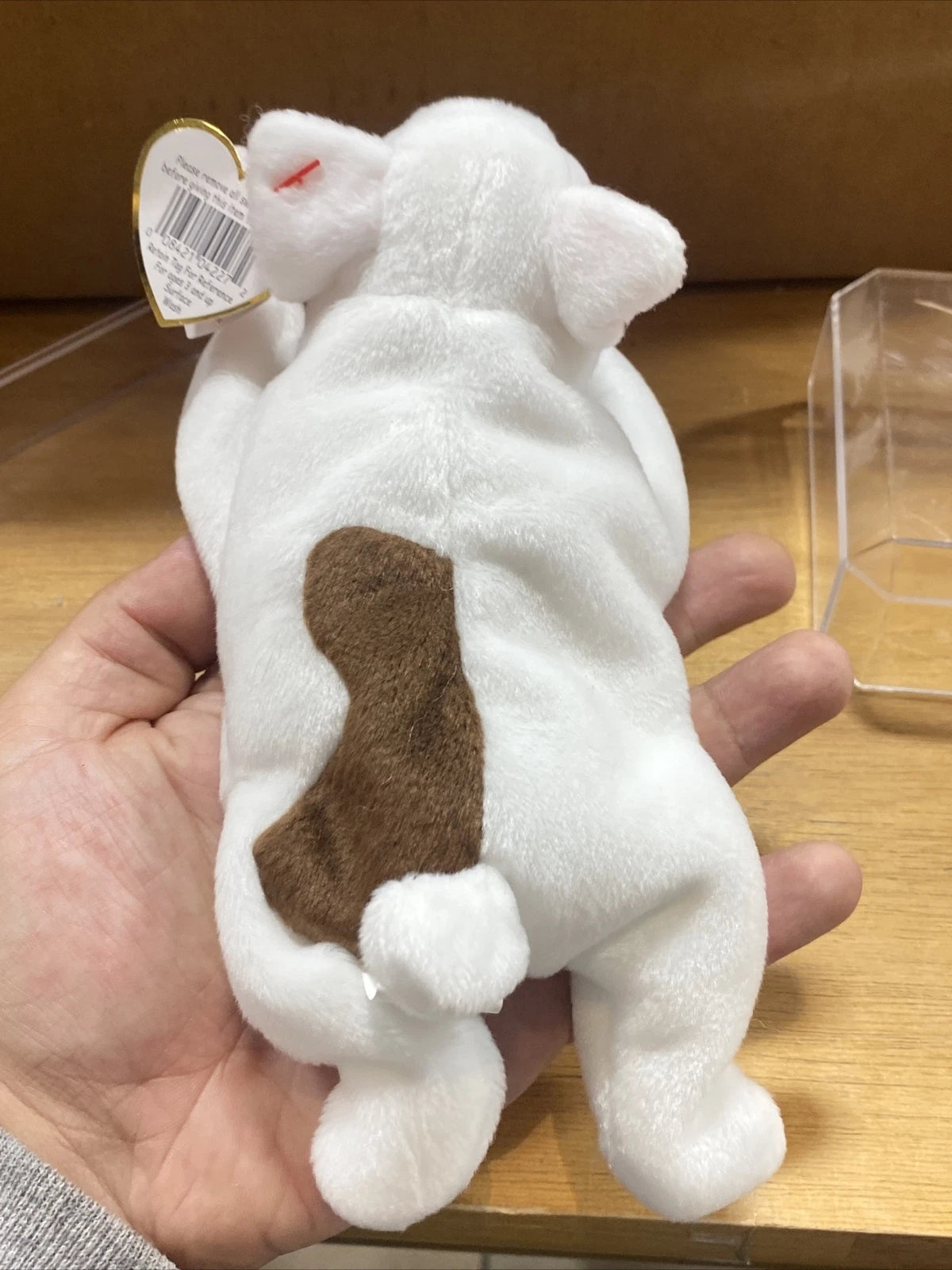 ty beanie baby butch D.O.B.1998 *ERRORS*RETIRED*RARE*