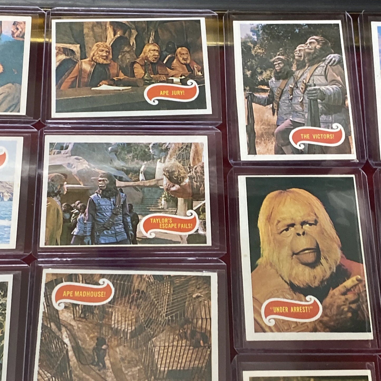 43 VTG. 1967 Planet Of The Apes Trading Cards (Sleeved & Top-Loaded) GREEN BACK!