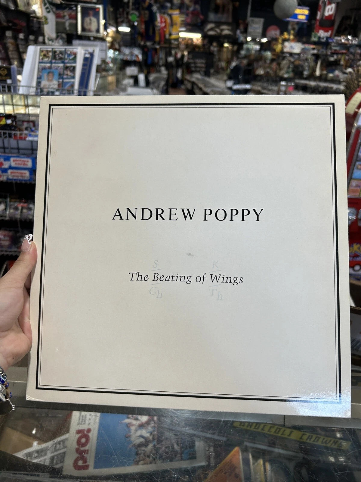 Andrew Poppy/The Beating Of Wings Lp ztt1Q5