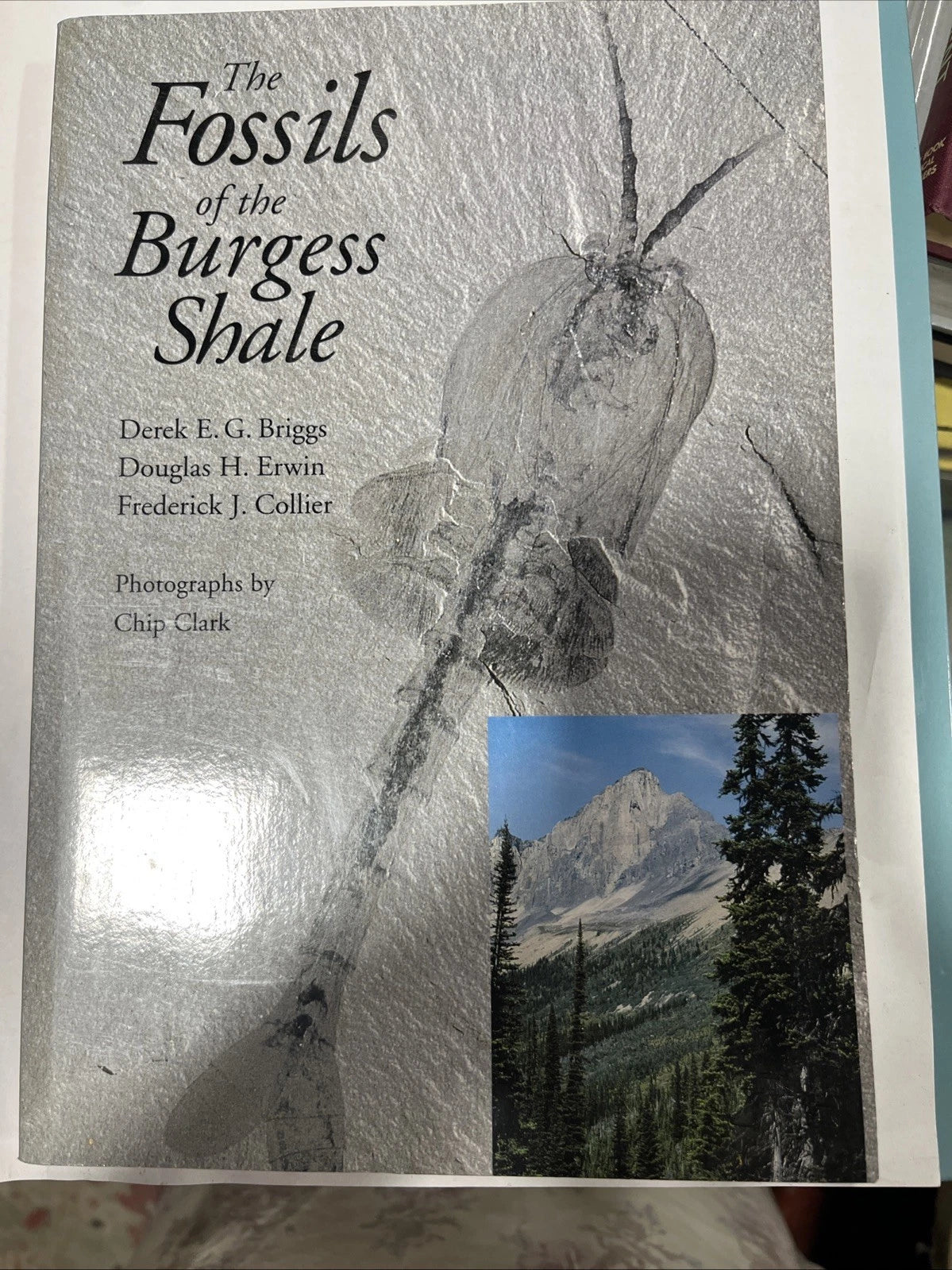 Fossils of the Burgess Shale by Briggs et al LN