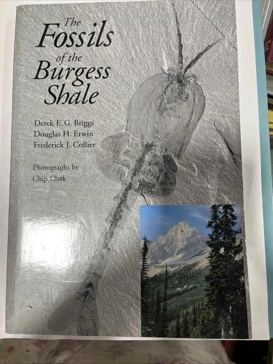 Fossils of the Burgess Shale by Briggs et al LN