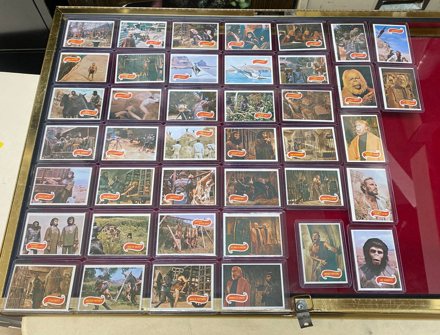 43 VTG. 1967 Planet Of The Apes Trading Cards (Sleeved & Top-Loaded) GREEN BACK!