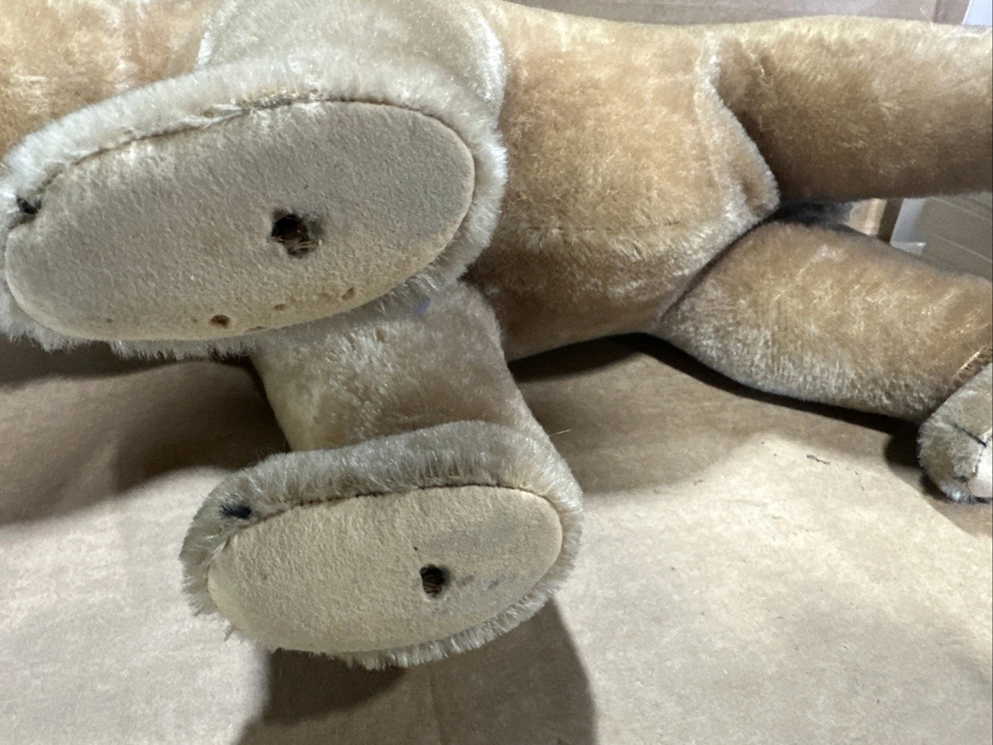 Steiff 1930s? Polar Bear Vintage No Tags