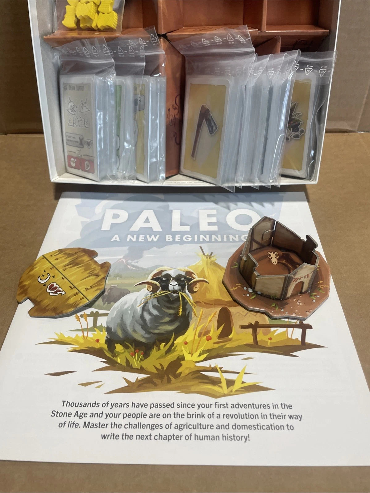 Z-Man Boardgame Paleo A New Beginning Box Expansion Complete