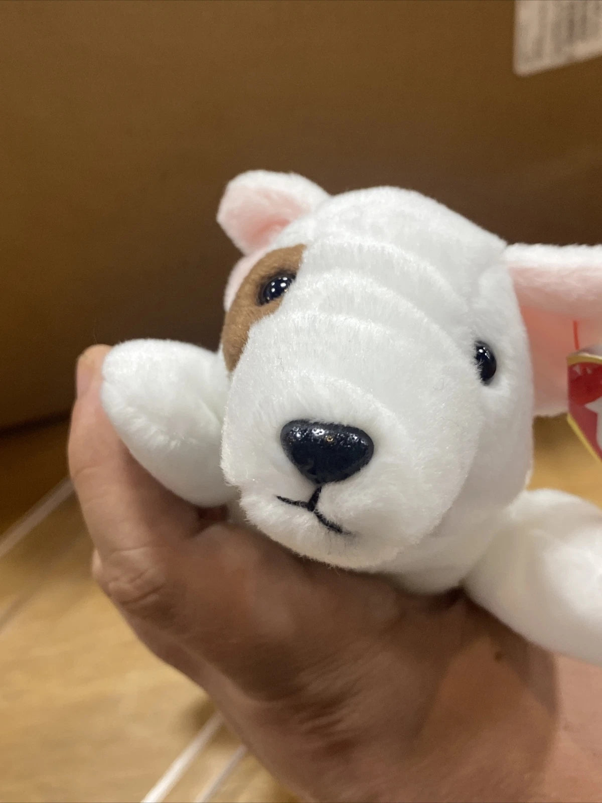 ty beanie baby butch D.O.B.1998 *ERRORS*RETIRED*RARE*