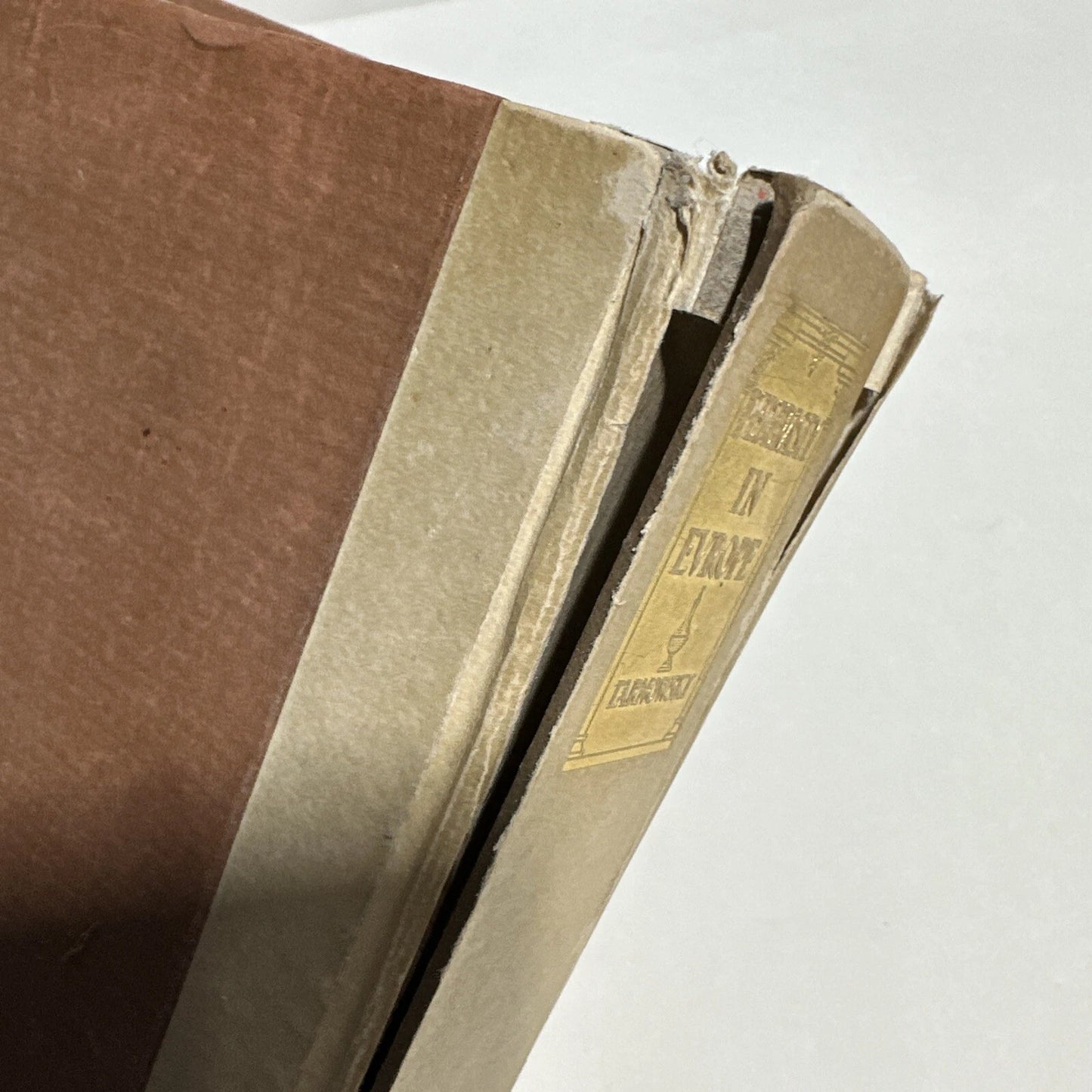 Anthropological, Legal, and Medical Studies on Pederasty in Europe RARE BOOK