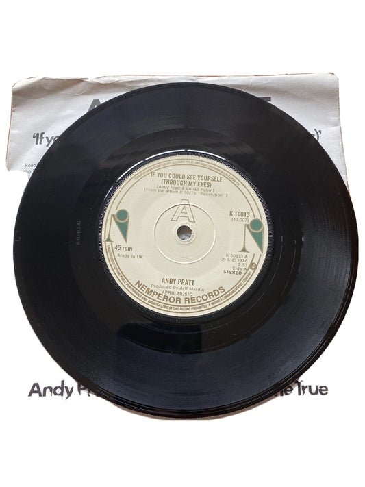 ANDY PRATT IF YOU COULD SEE YOURSELF (THROUGH MY EYES ) 70's - 7" VINYL W SLEEVE
