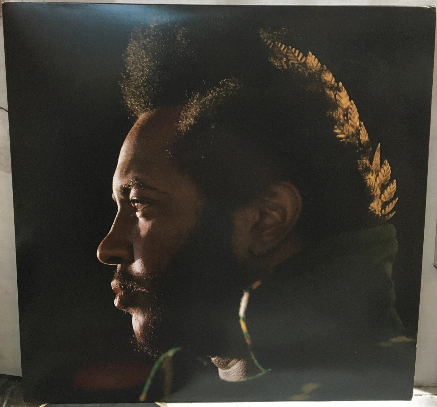 Thundercat Apocalypse Record BF040 Red
