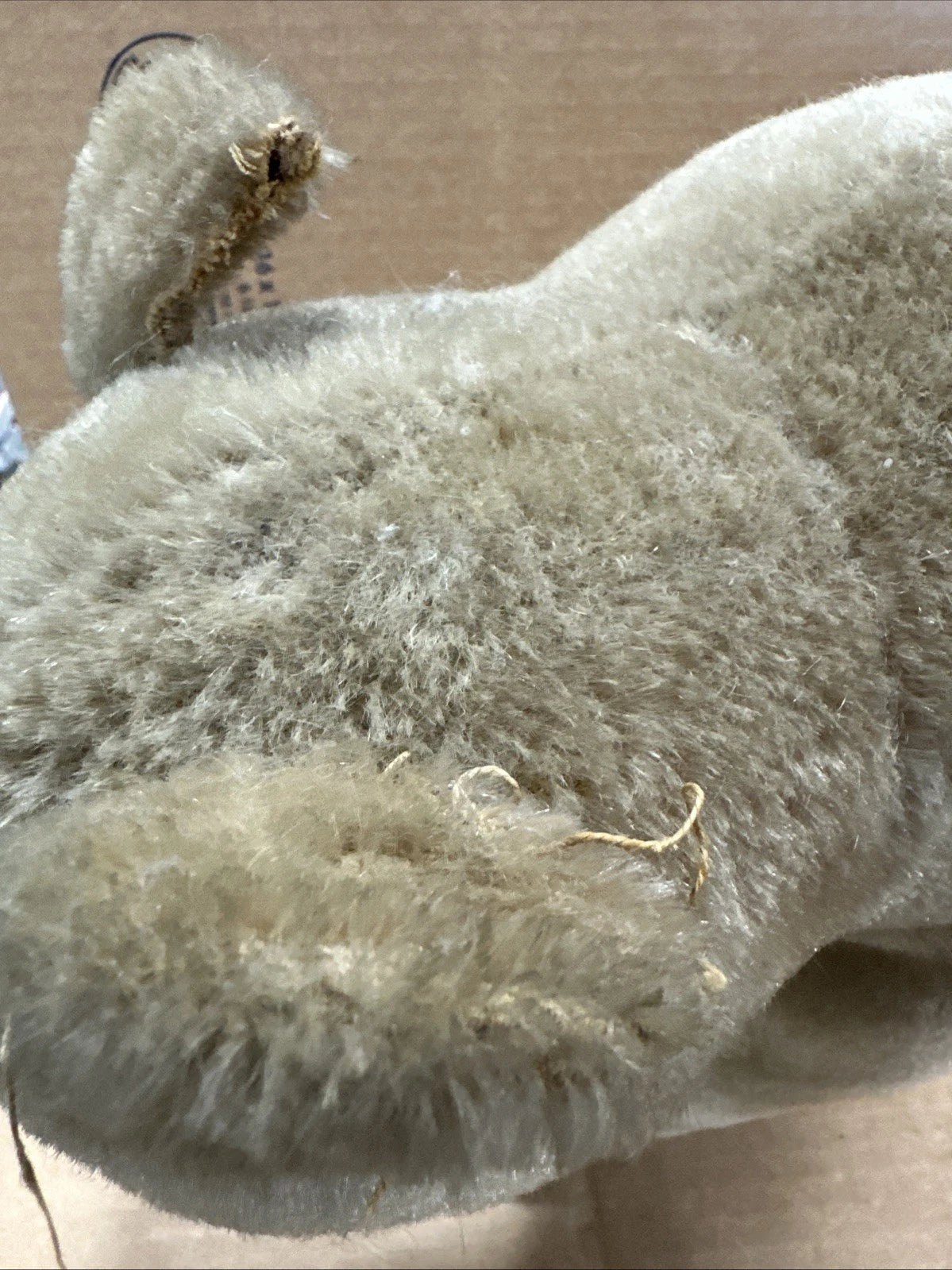 Steiff 1930s? Polar Bear Vintage No Tags