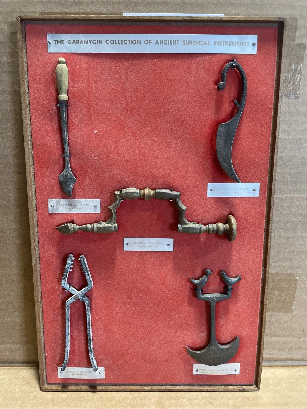 Garamycin Collection of Ancient Surgical Instruments Reproduction