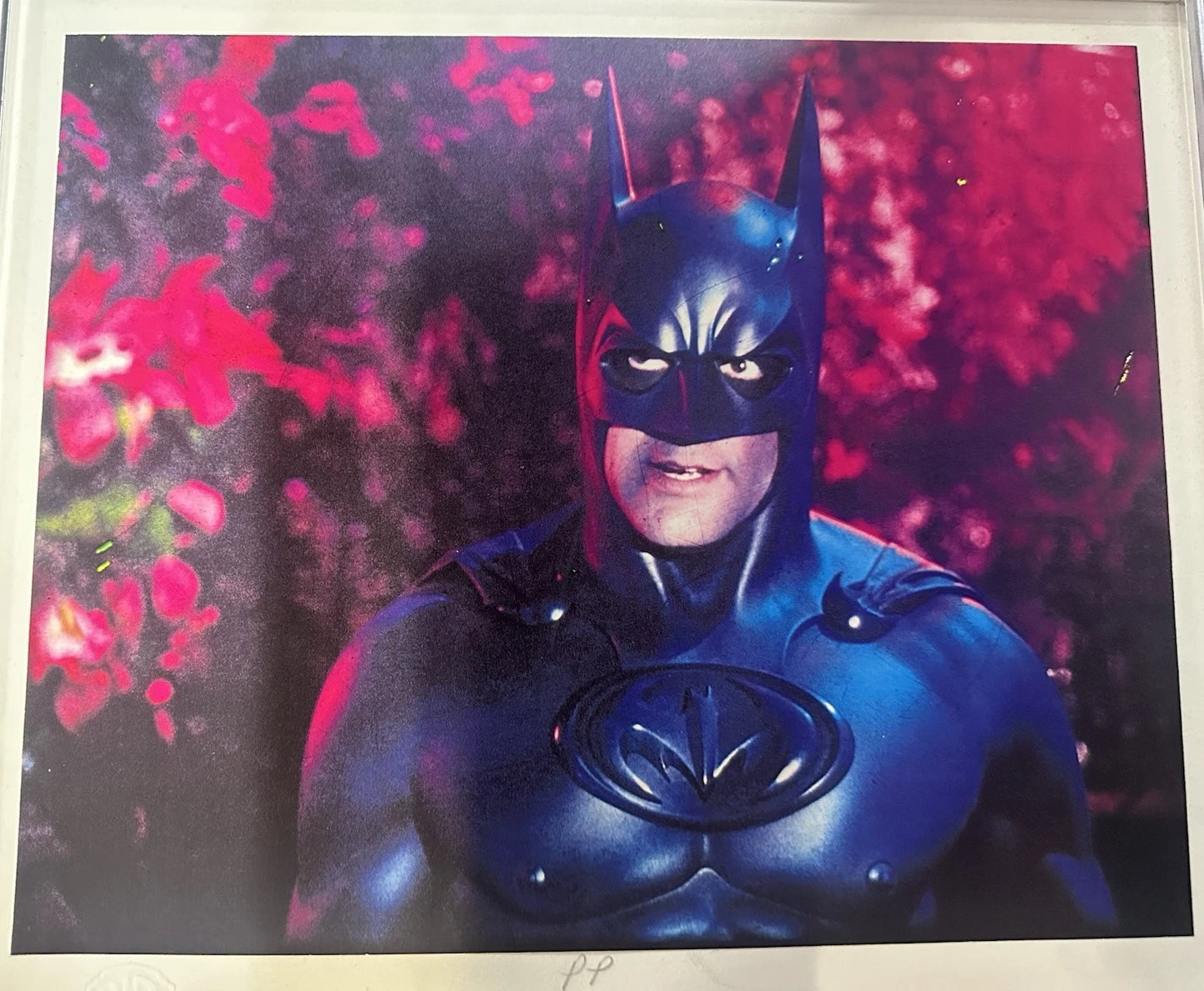 Batman & Robin (1997) "Frozen Gaze" Framed Senitype Film Print & 35mm Film Cell