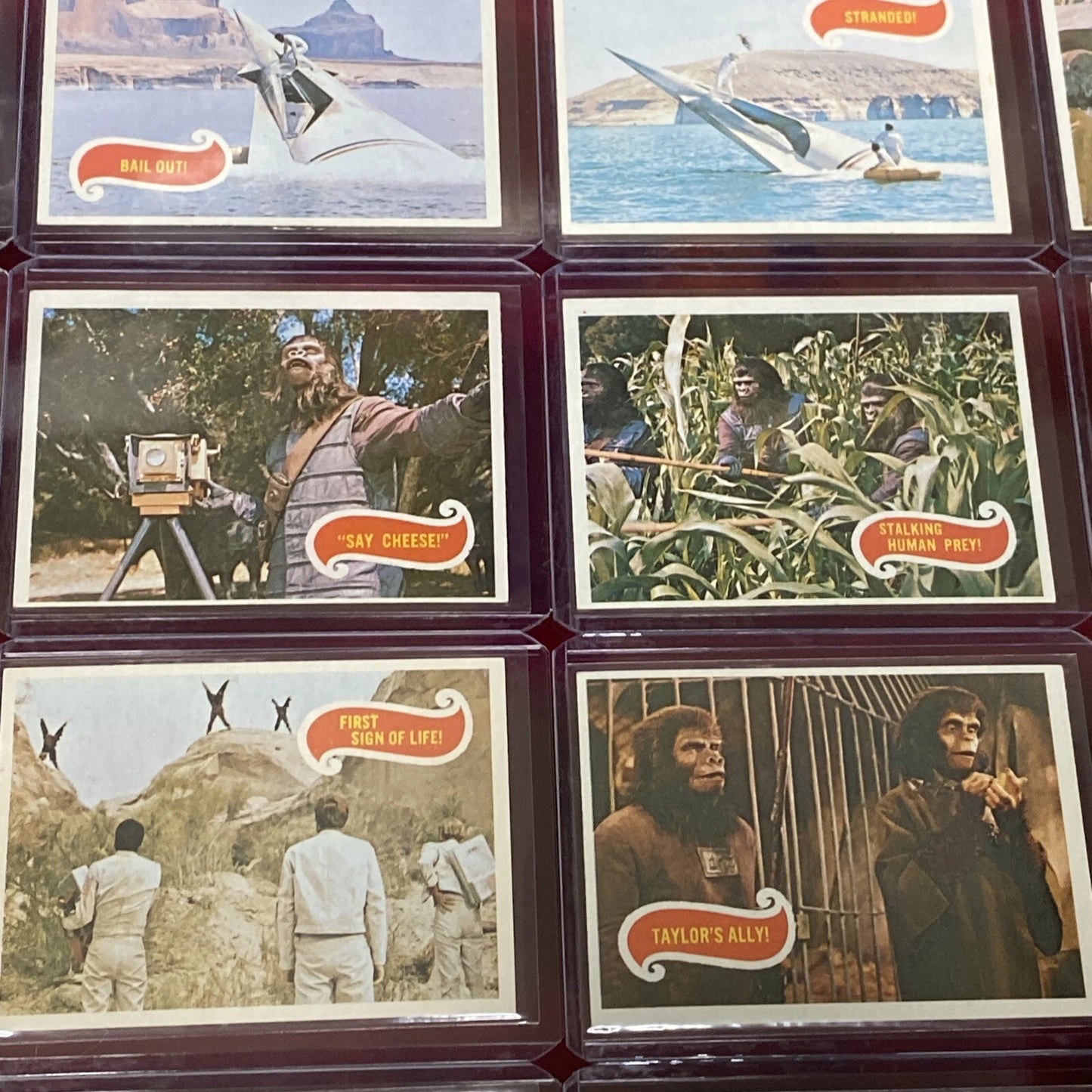 43 VTG. 1967 Planet Of The Apes Trading Cards (Sleeved & Top-Loaded) GREEN BACK!