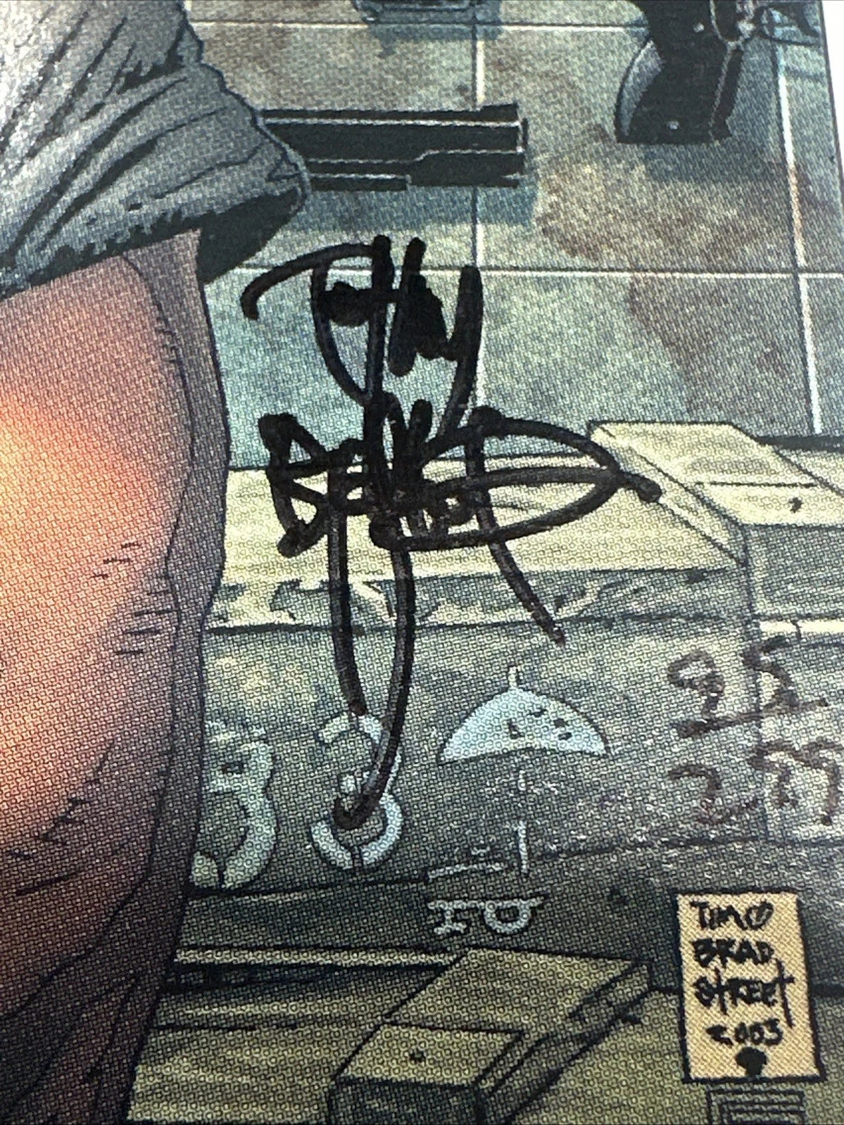 2004 Marvel Max Comics The Punisher Lewis LaRosa Signed By Tim Bradstreet