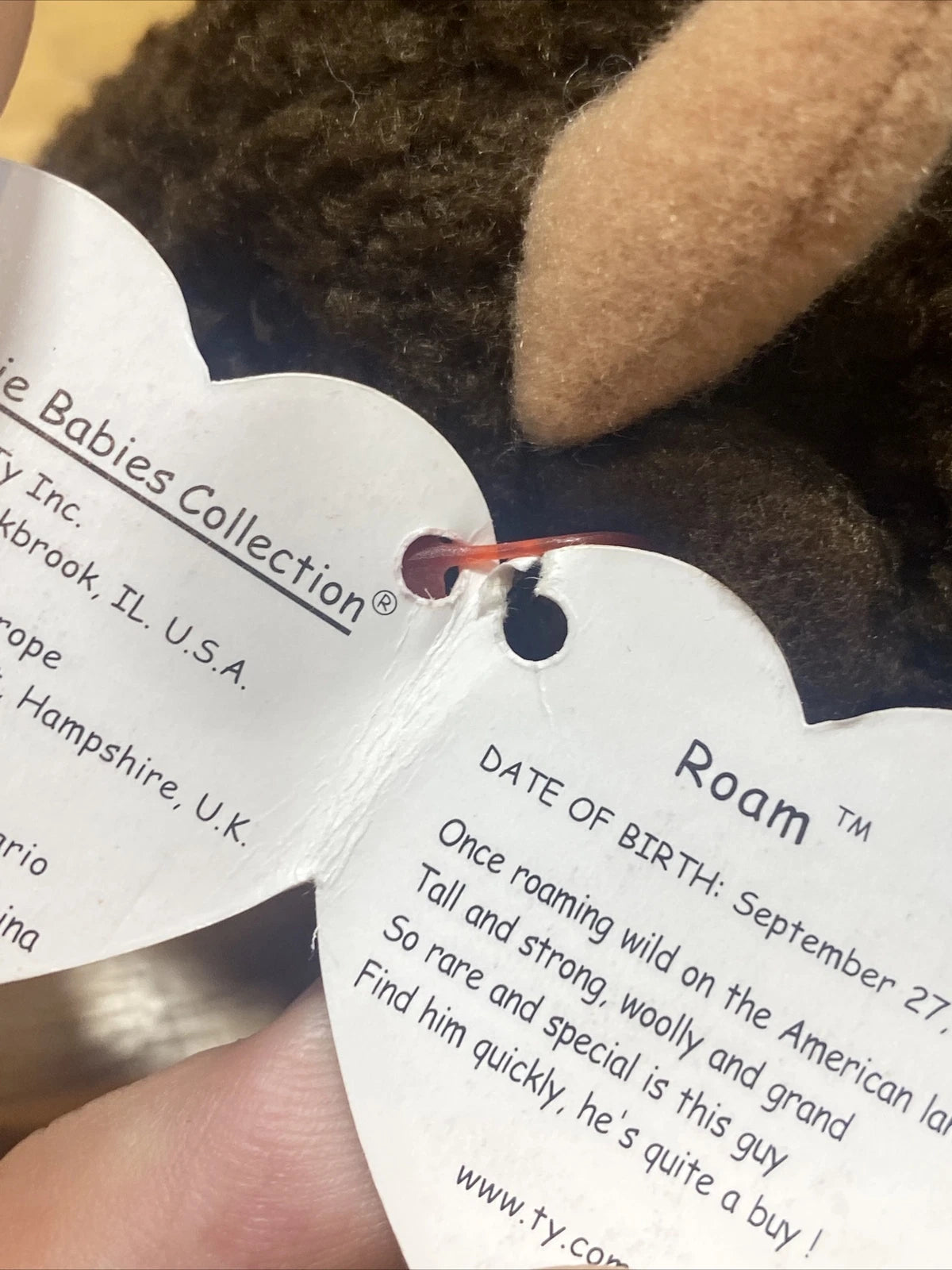 VERY RARE Ty Beanie Baby: Roam the Buffalo (Retired) 1998 With Tag Errors