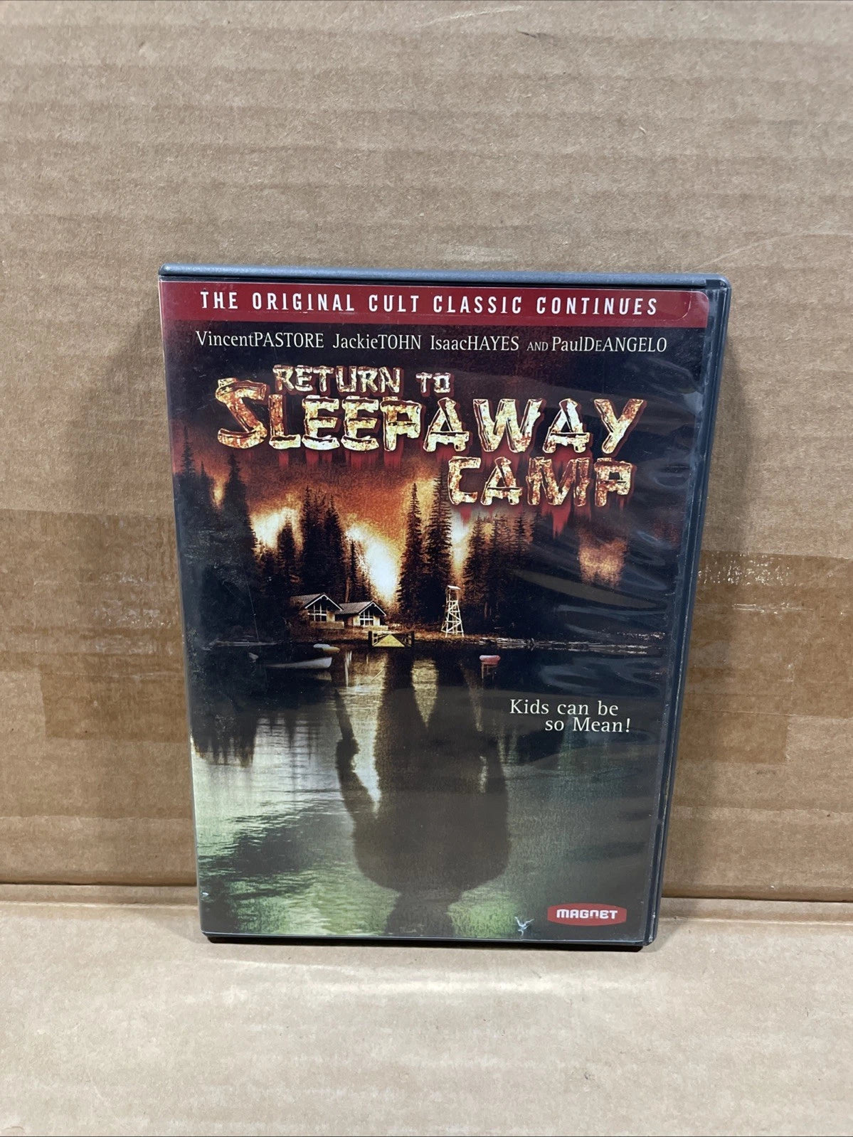 Return to Sleepaway Camp (DVD, 2008) Horror DVD Widescreen Region 1 Rare OOP