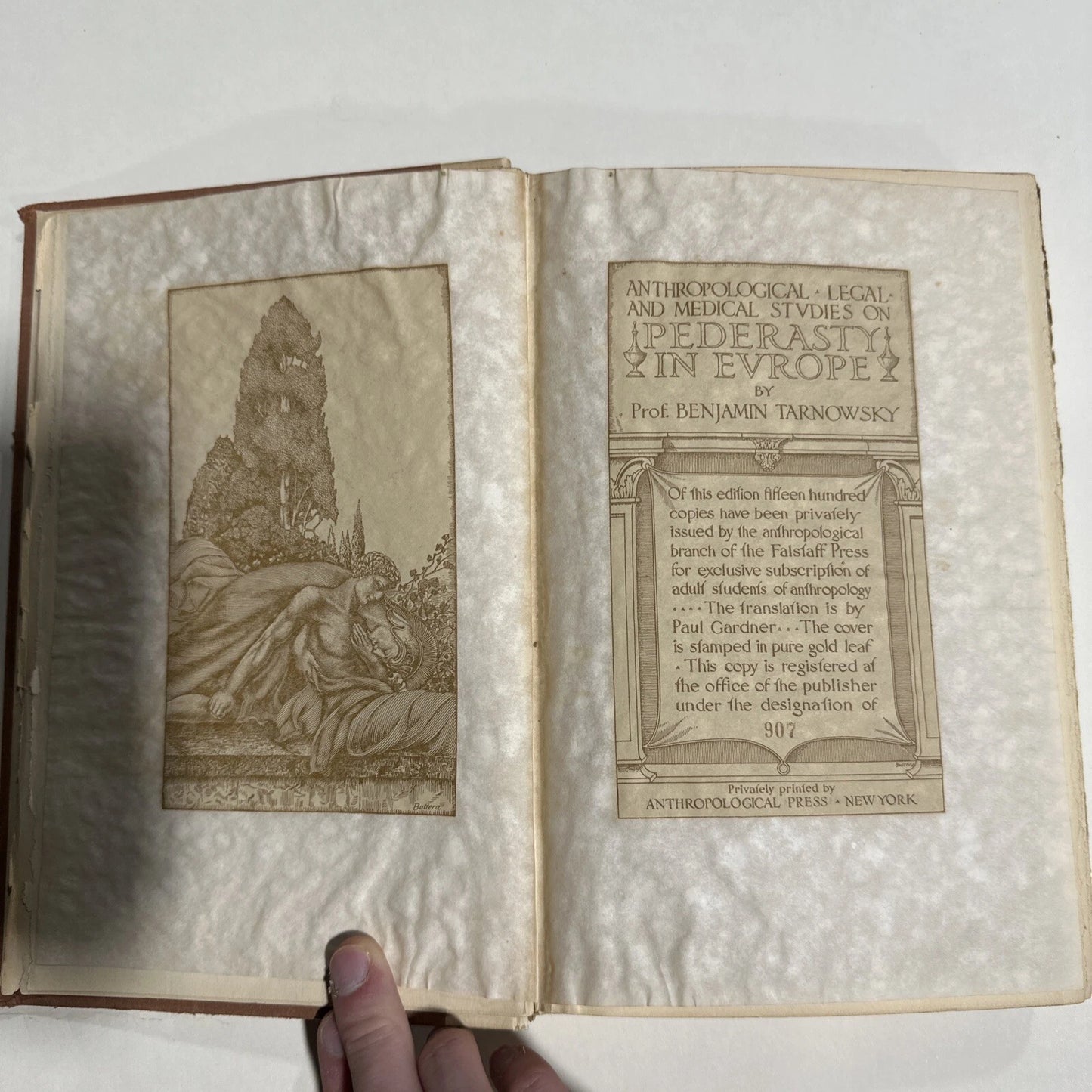 Anthropological, Legal, and Medical Studies on Pederasty in Europe RARE BOOK