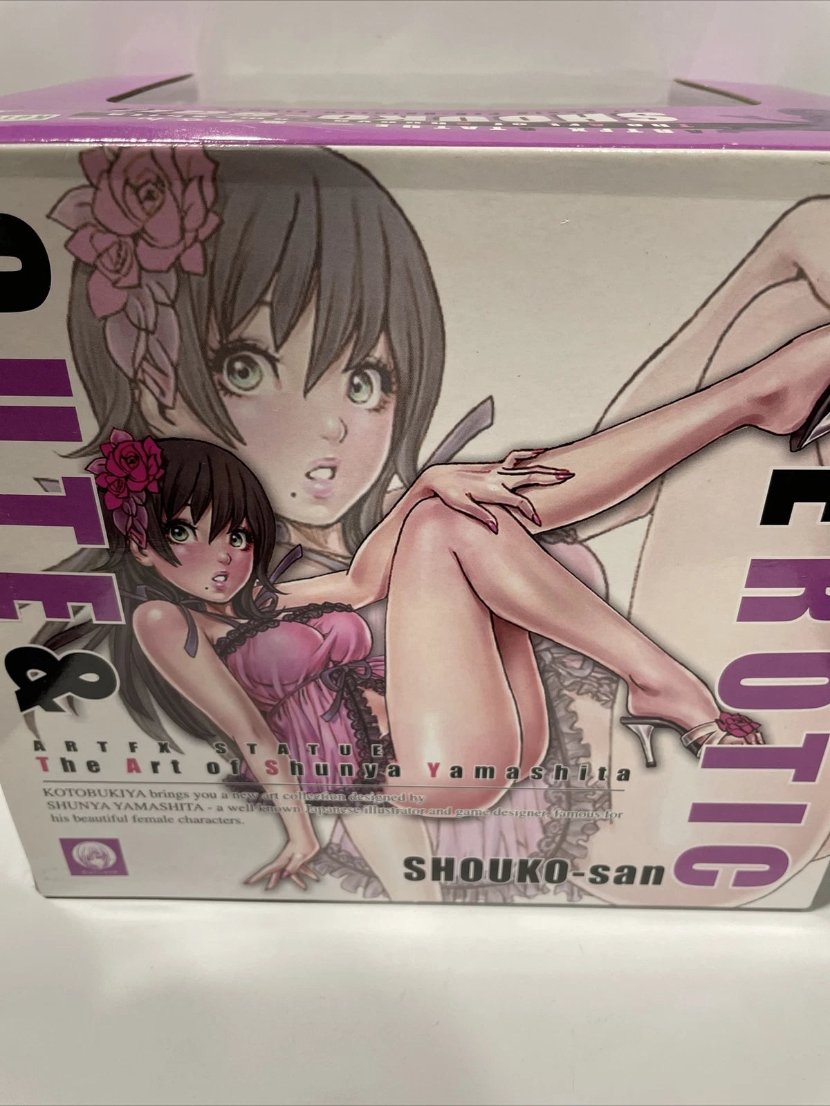 The Art of Shunya Yamashita Shouko-san 1/7 Scale PVC Painted Figure BRAND NEW