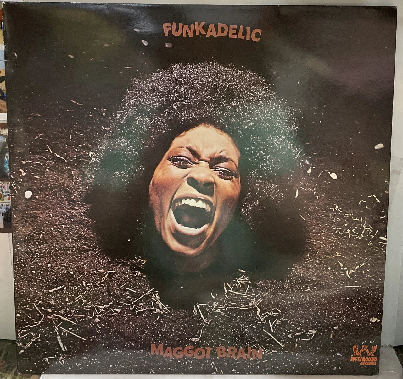 Funkadelic Maggot Brain UK Import Reissue Record SEW002