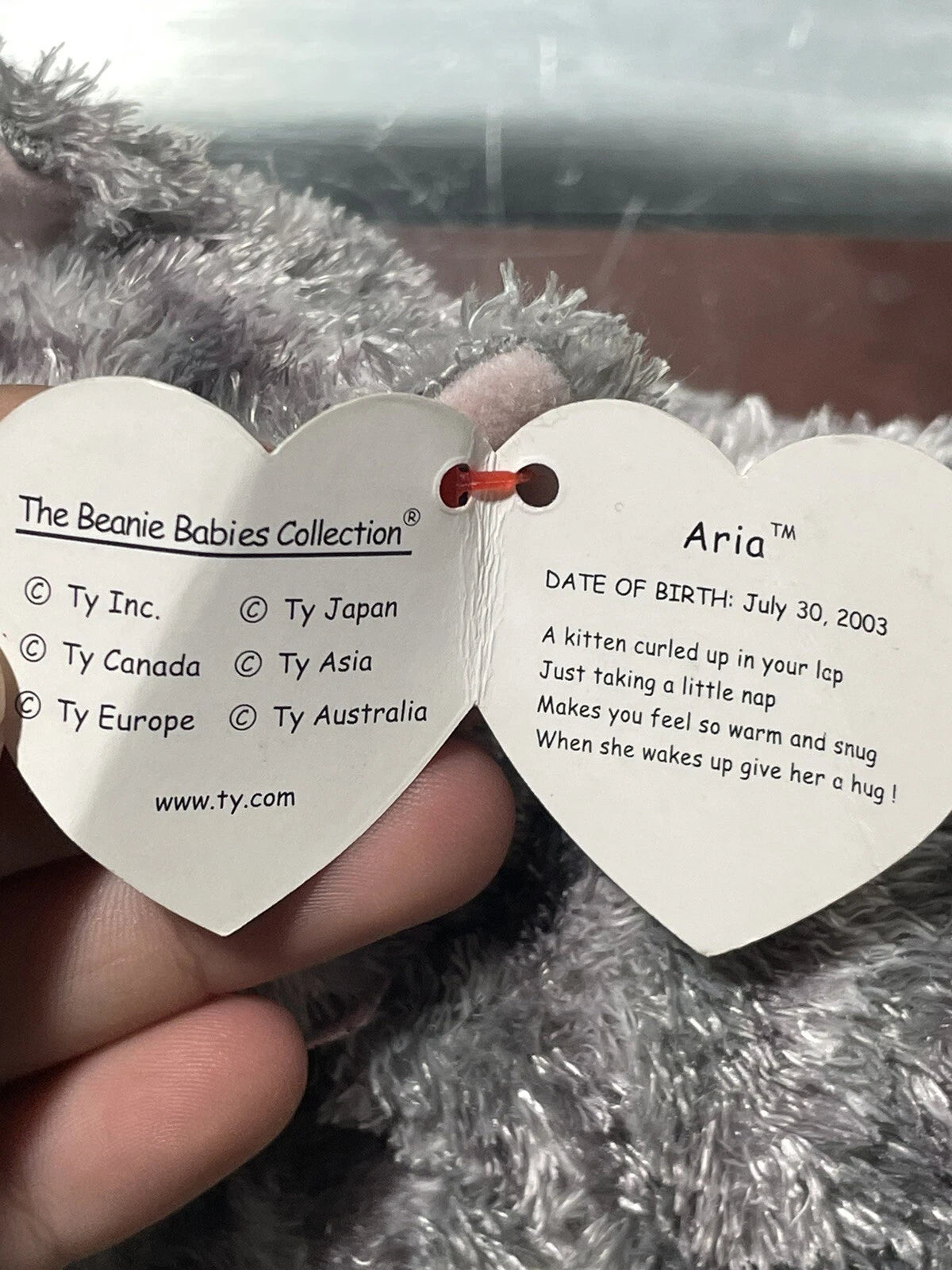 TY Beanie Baby - ARIA the Cat 7.5"