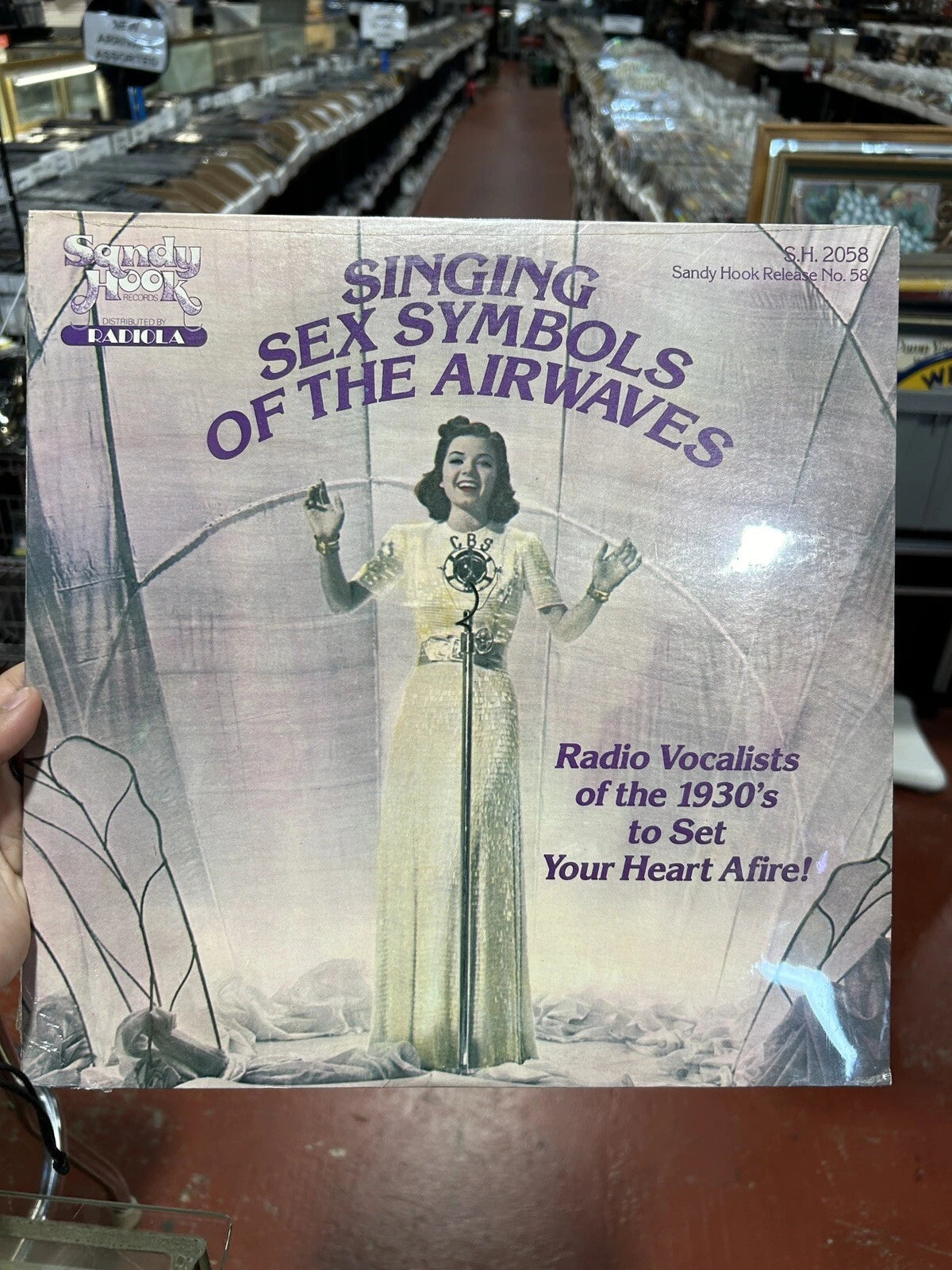 Singing Sex Symbols of Airwaves LP Various Artists - Sandy Hook 2058 new sealed