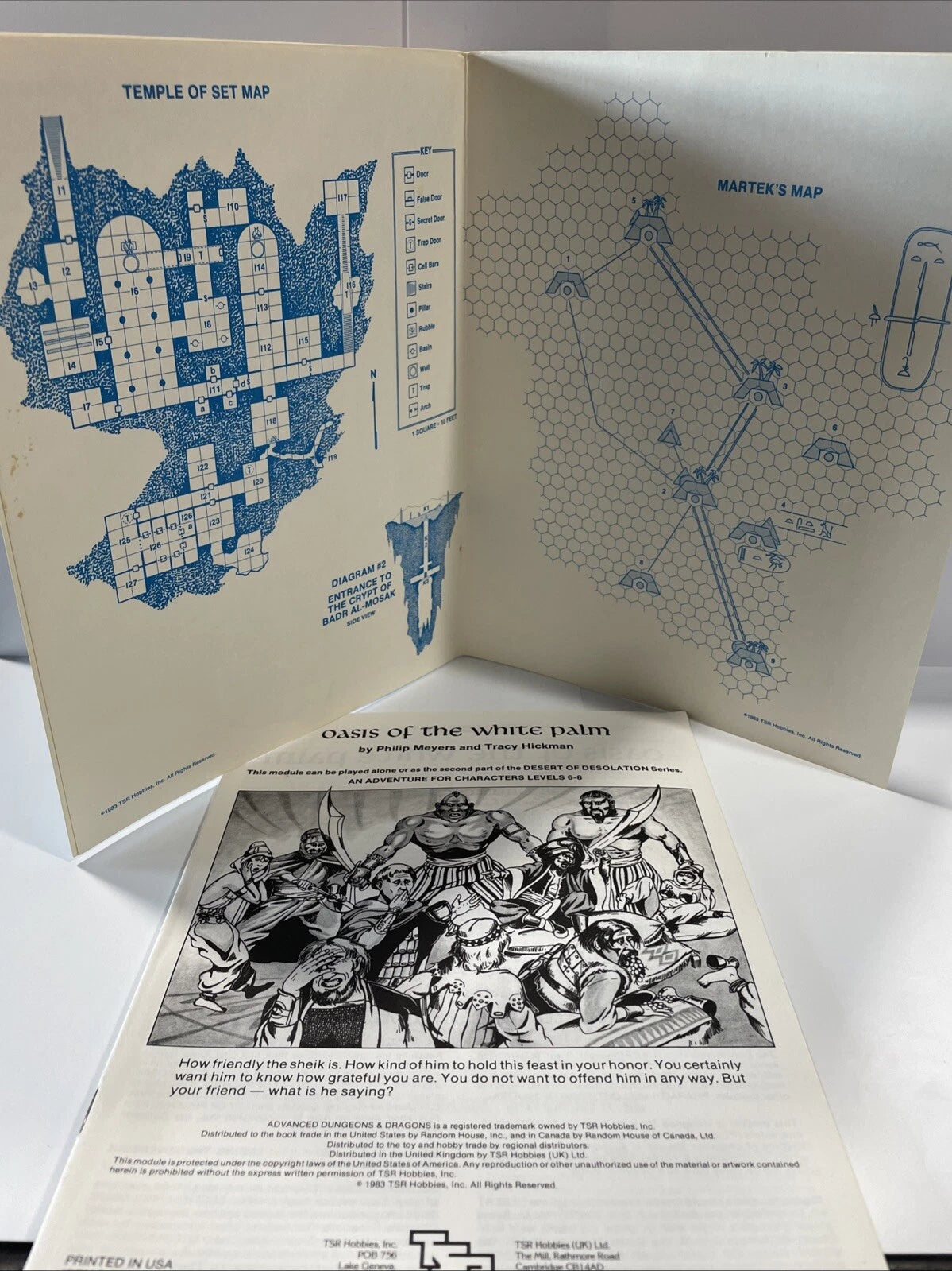 Advanced Dungeons & Dragons: Module I4 Oasis of White Palm 9053- TSR 1983 - RARE