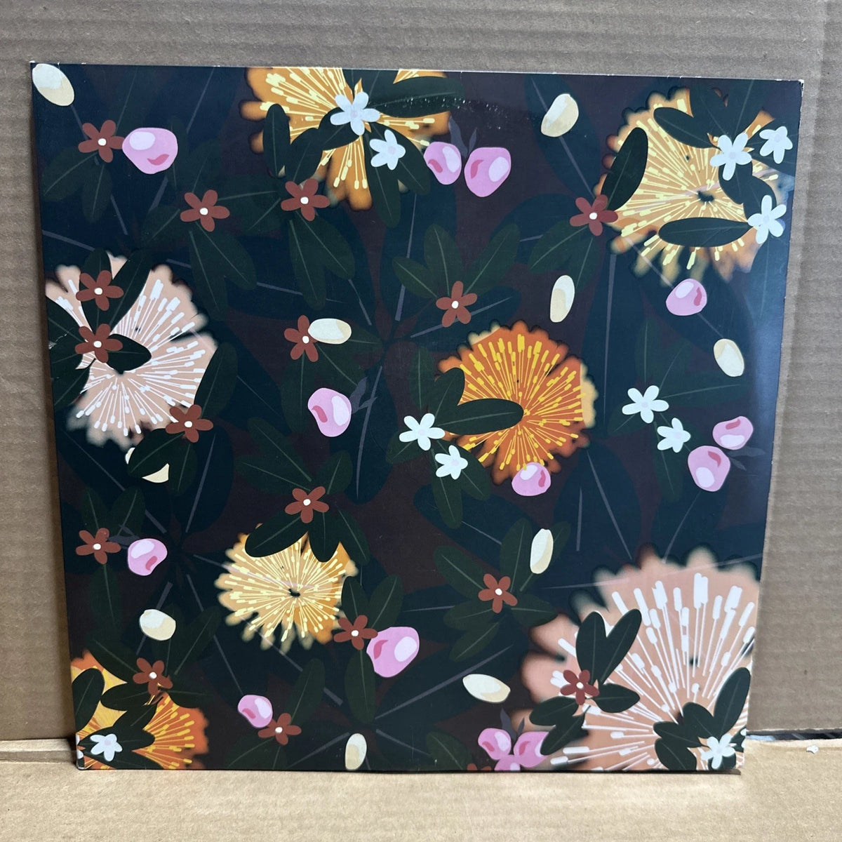Bright Eyes - Noise Floor (Vinyl LP) ORIGINAL PRESSING vg++