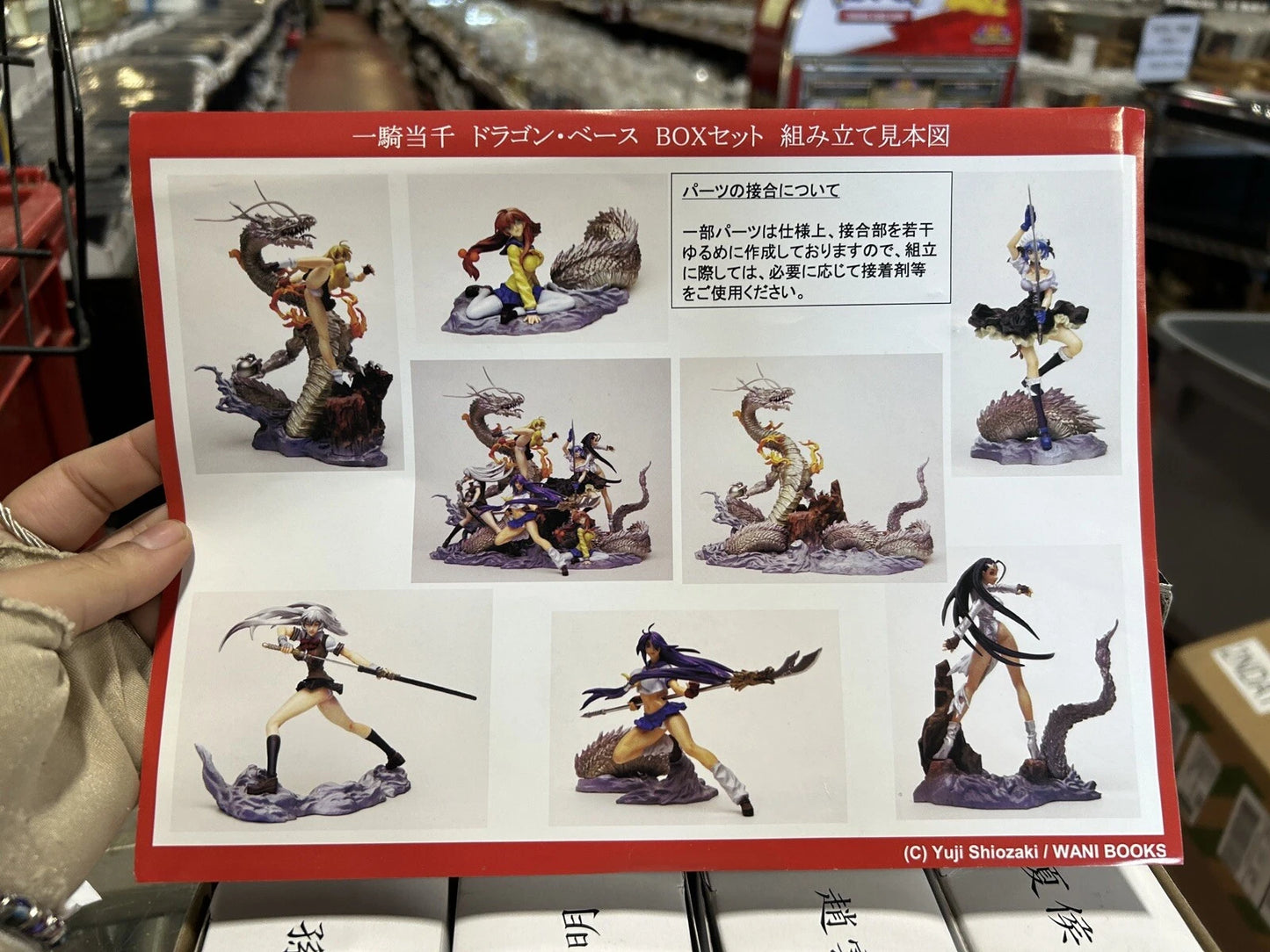 Ikki Tousen Dragon Destiny Limited Edition Figure Set - Original Box