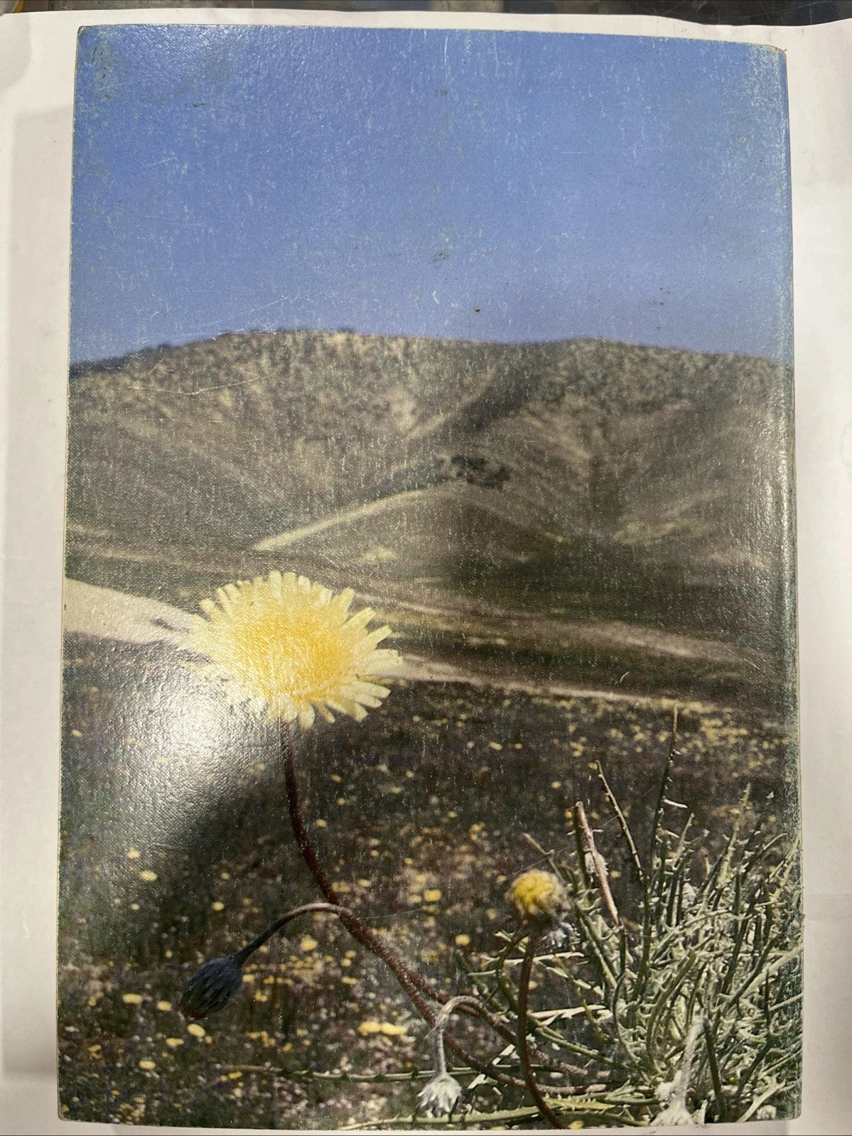 A Flora of the Santa Barbara Region, California by Clifton F. Smith. SIGNED.