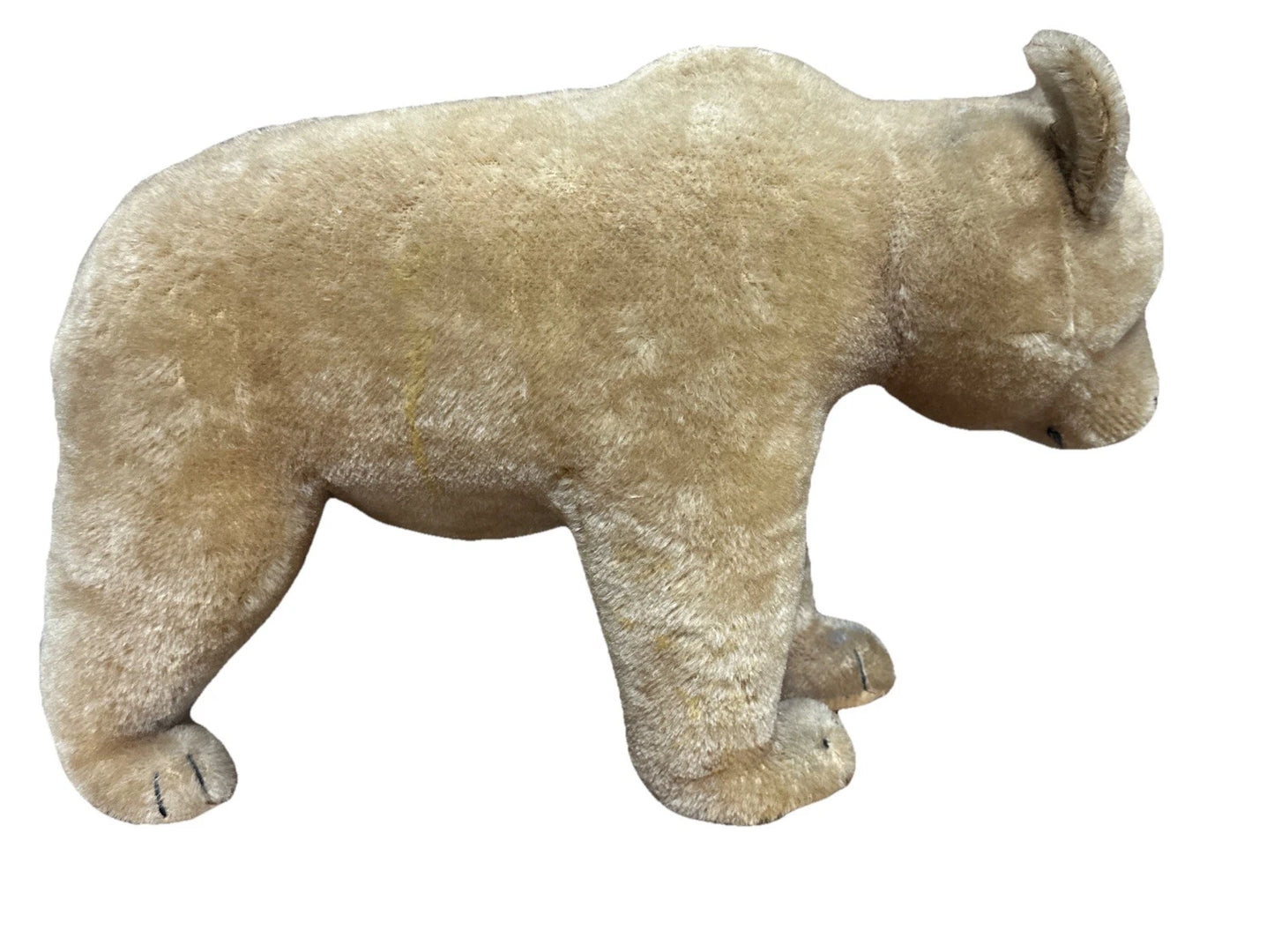 Steiff 1930s? Polar Bear Vintage No Tags